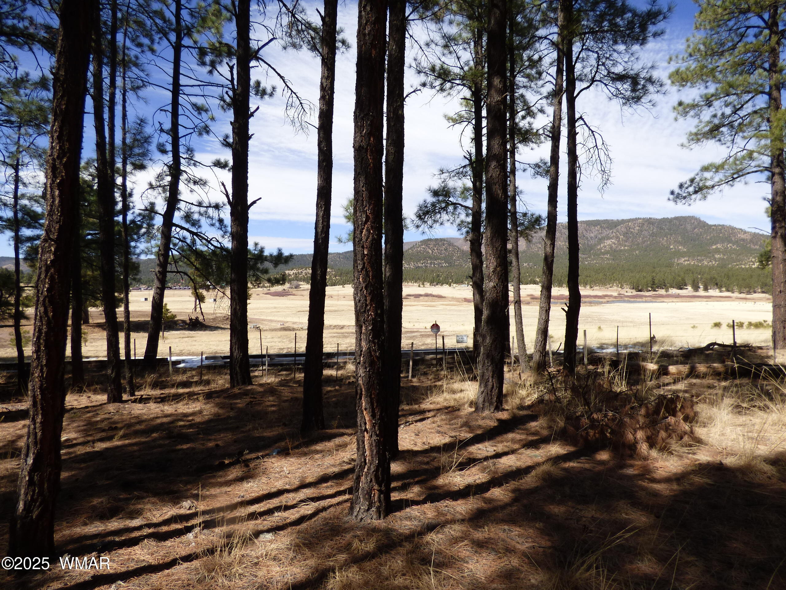 8 B County Road 2267 Road Alpine, AZ 85920 - Photo 13 of 55 P1330517