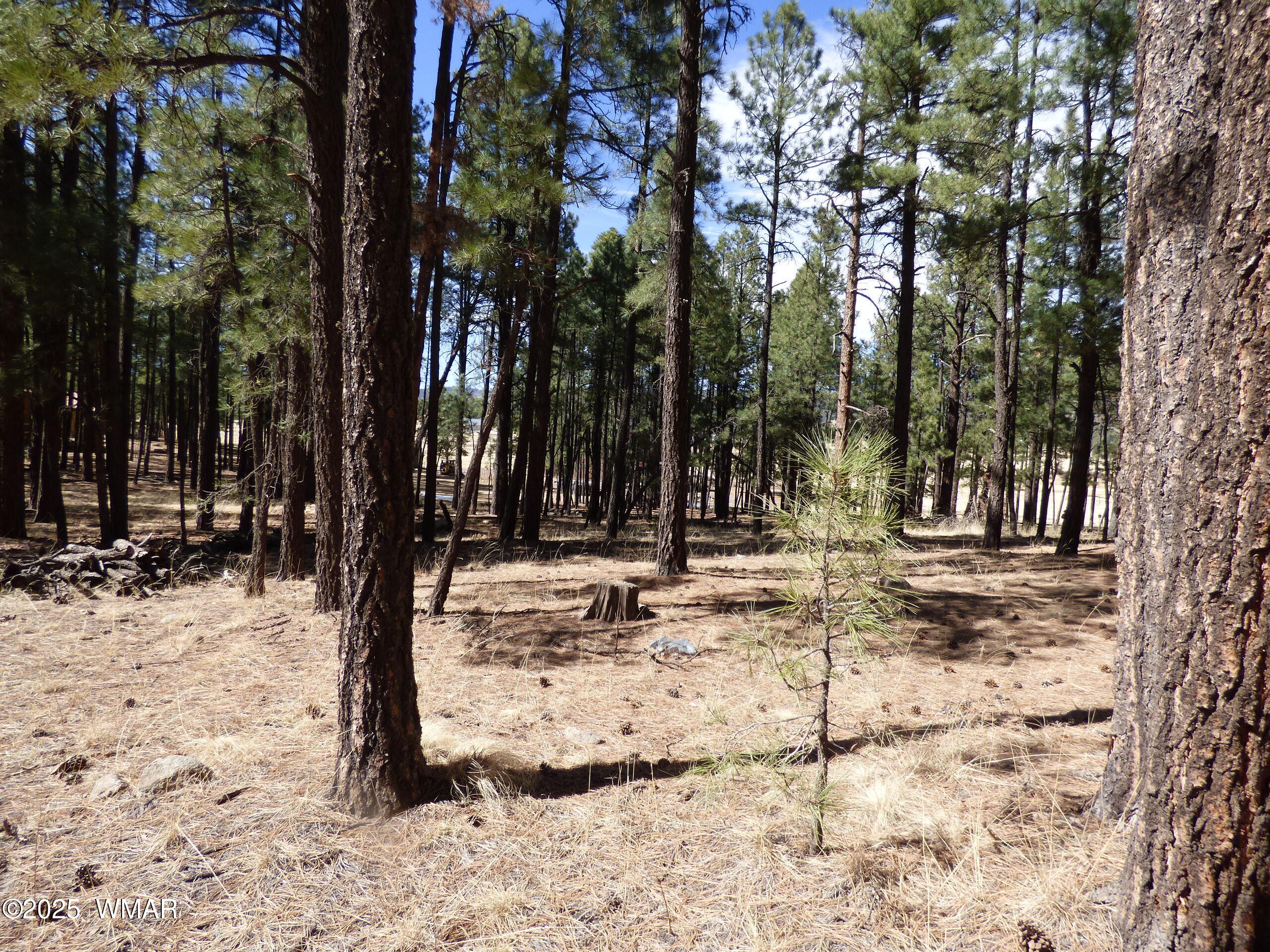 8 B County Road 2267 Road Alpine, AZ 85920 - Photo 16 of 55 P1330507