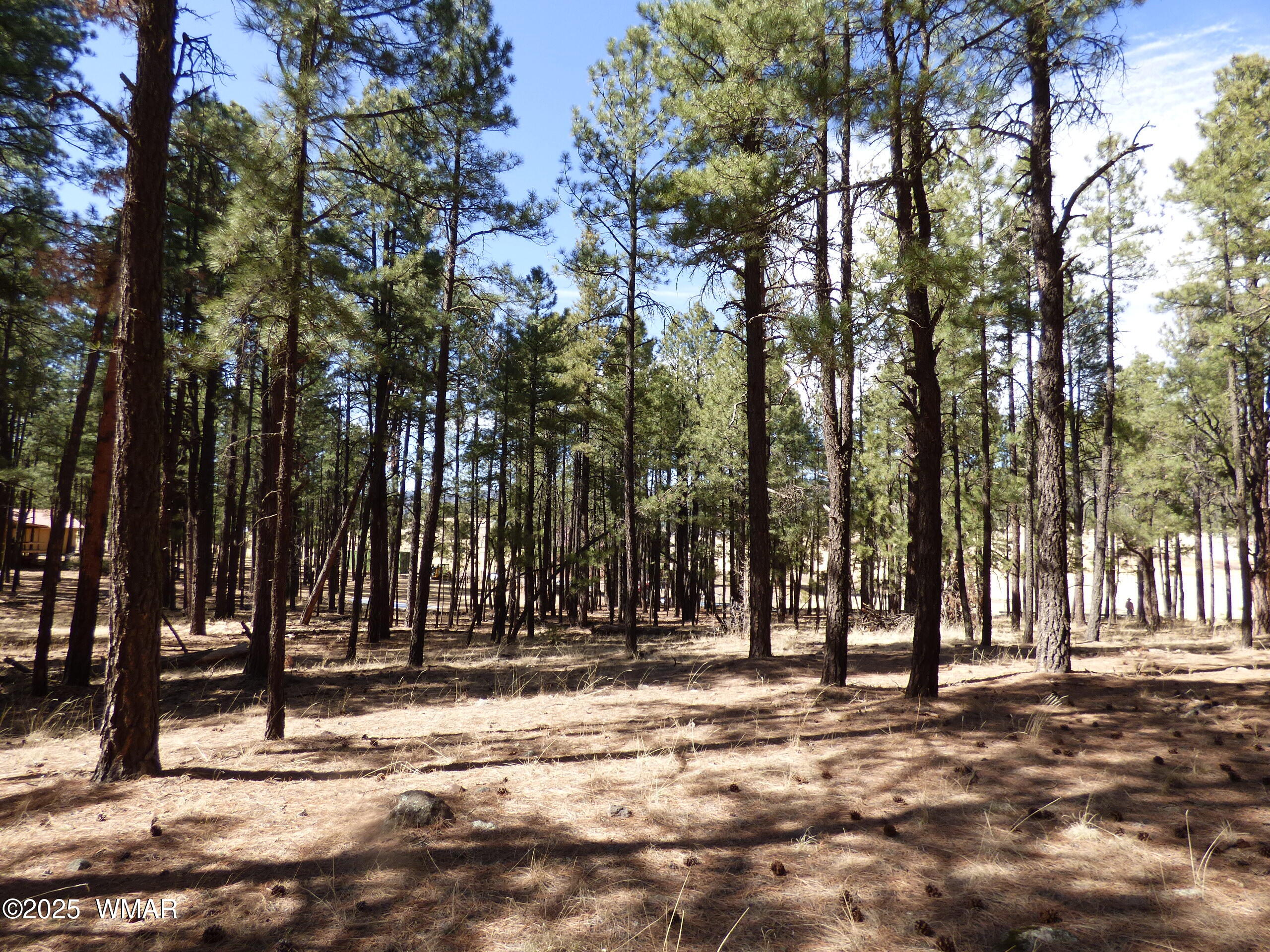 8 B County Road 2267 Road Alpine, AZ 85920 - Photo 17 of 55 P1330508