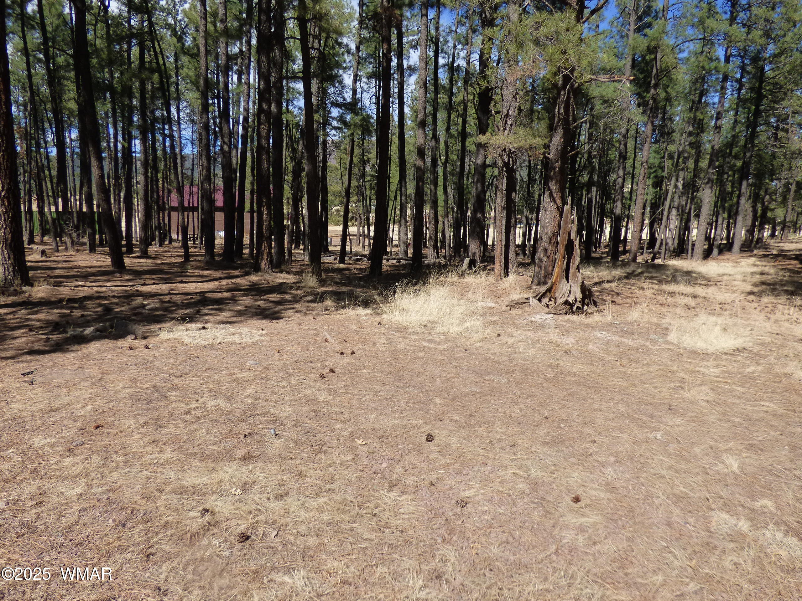 8 B County Road 2267 Road Alpine, AZ 85920 - Photo 23 of 55 P1330488
