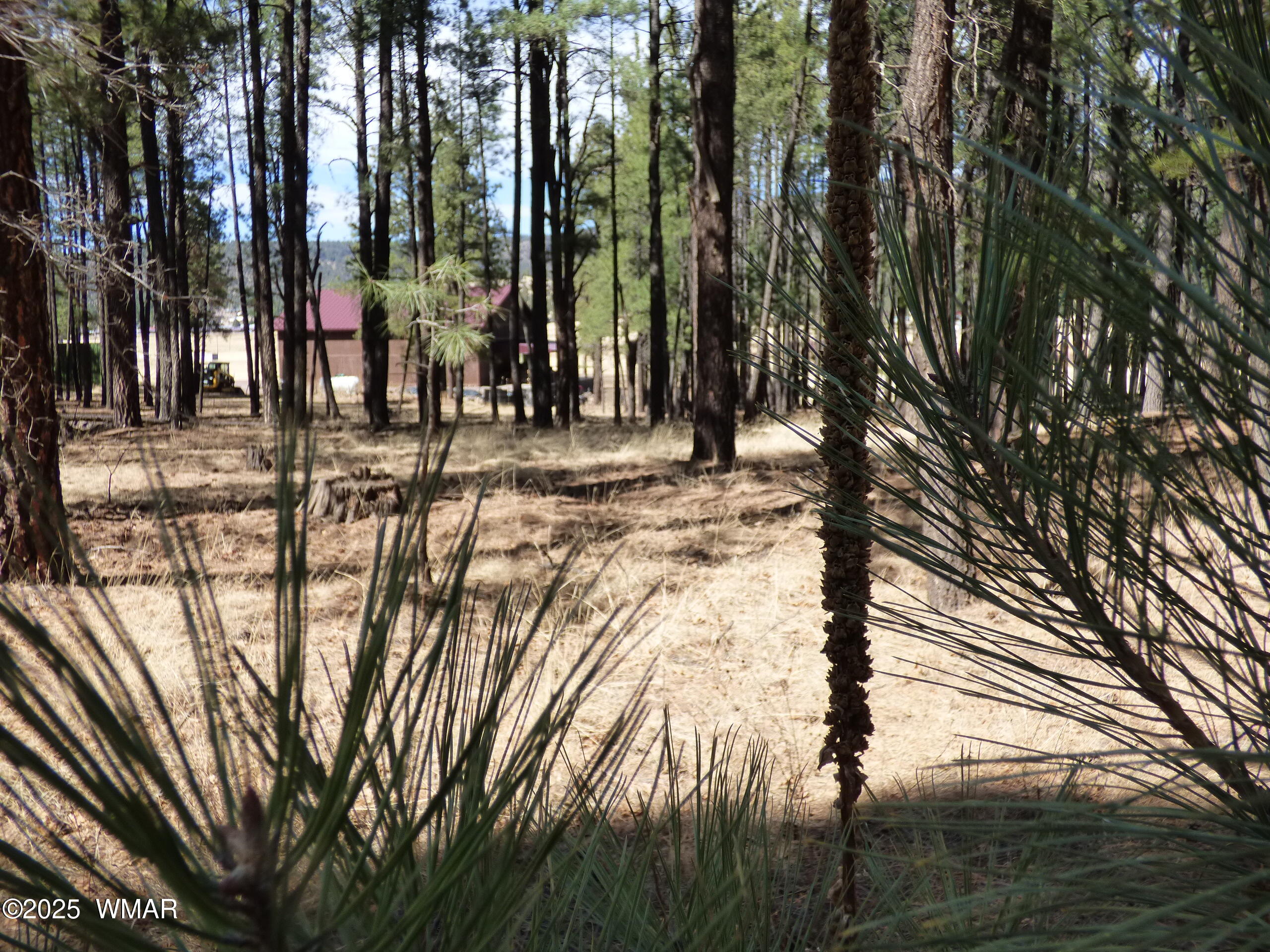 8 B County Road 2267 Road Alpine, AZ 85920 - Photo 27 of 55 P1330496
