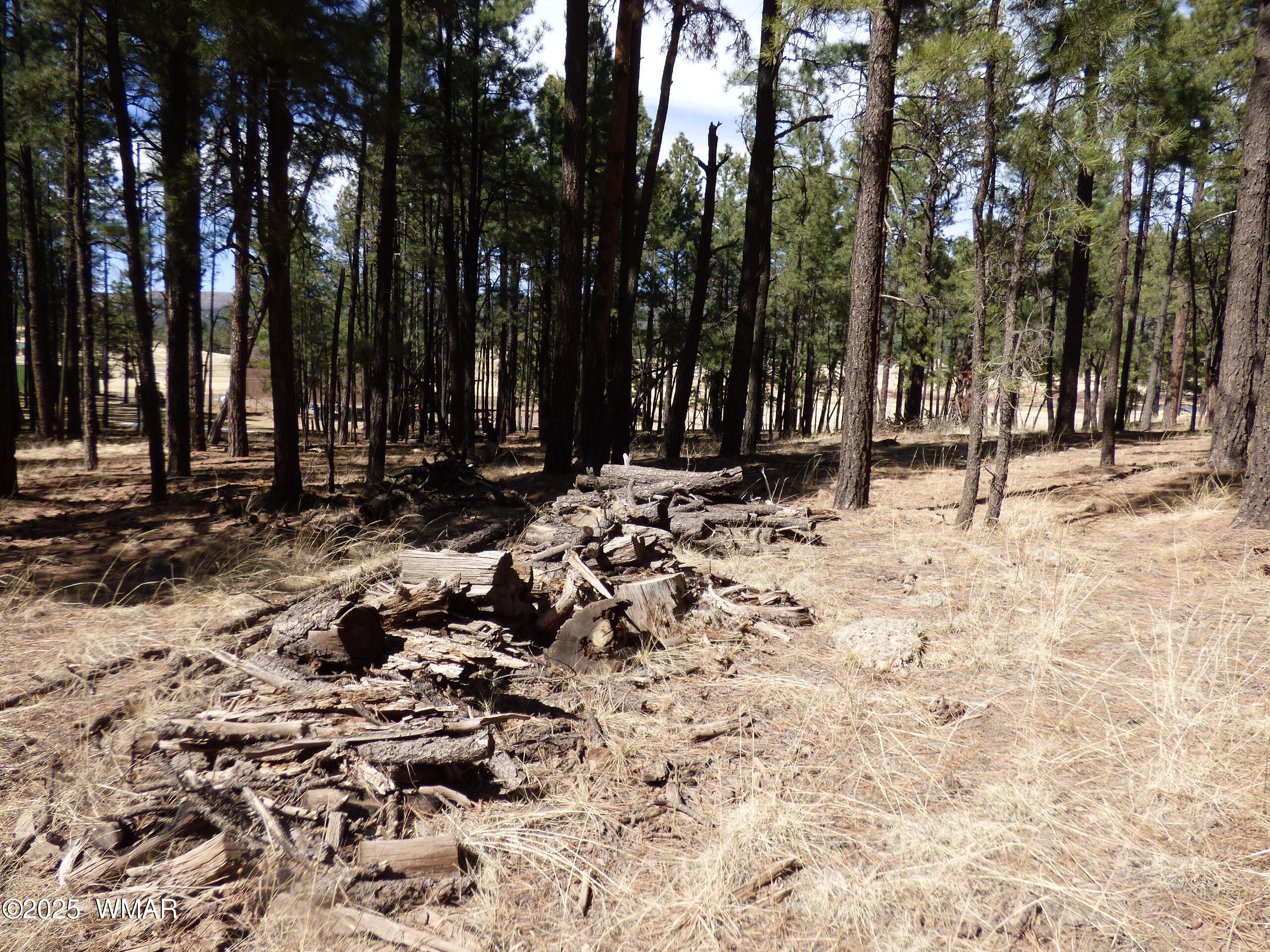 8 B County Road 2267 Road Alpine, AZ 85920 - Photo 28 of 55 P1330502
