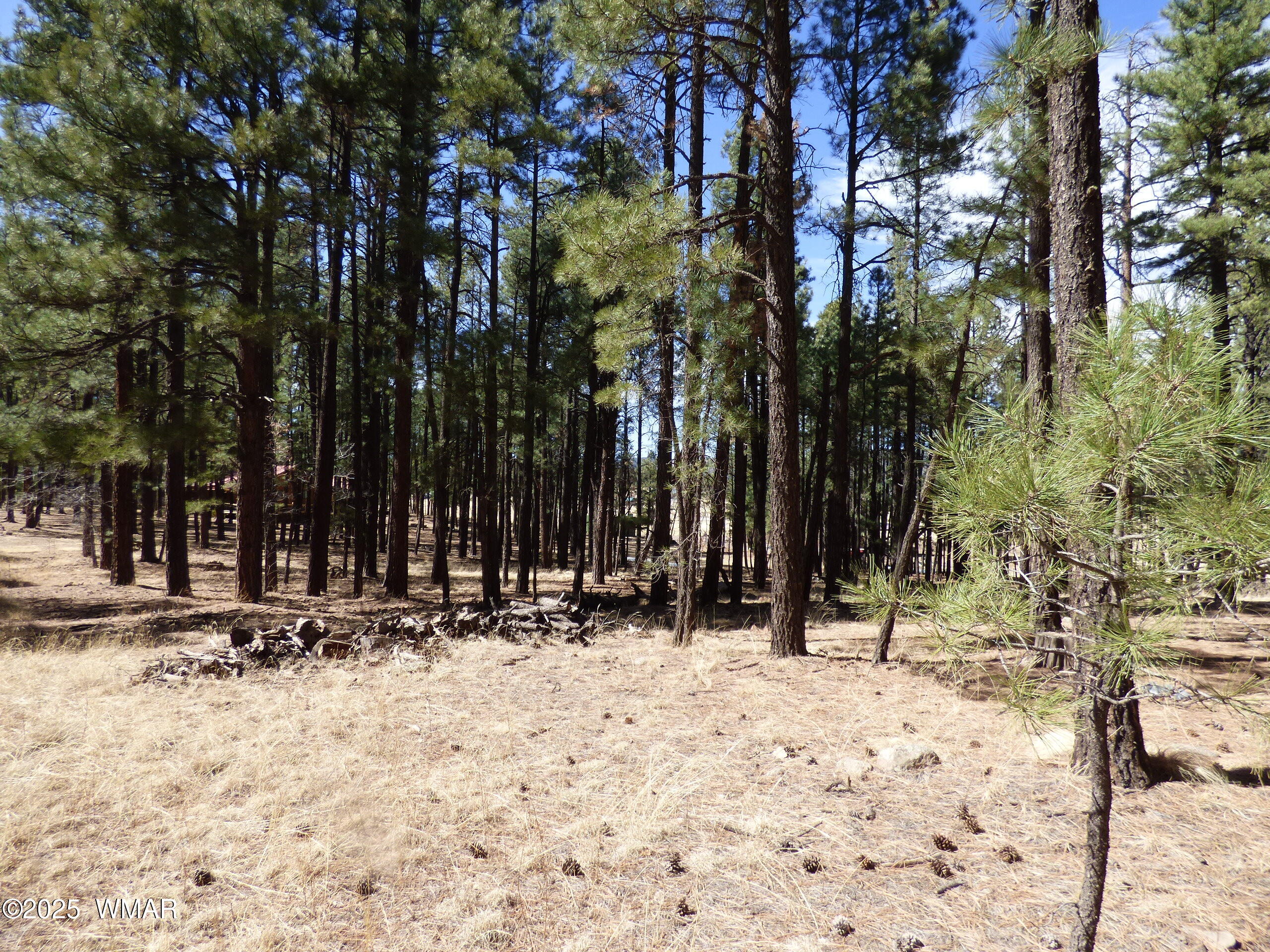8 B County Road 2267 Road Alpine, AZ 85920 - Photo 29 of 55 P1330504