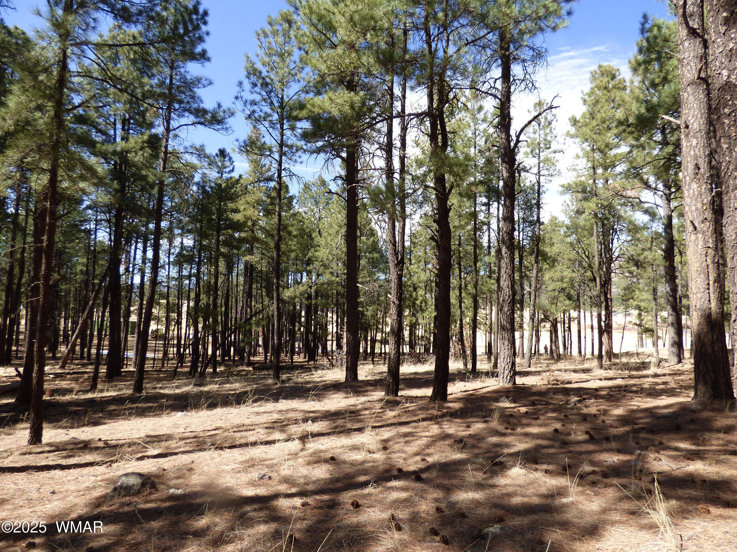 8 B County Road 2267 Road Alpine, AZ 85920 - Photo 30 of 55 P1330509