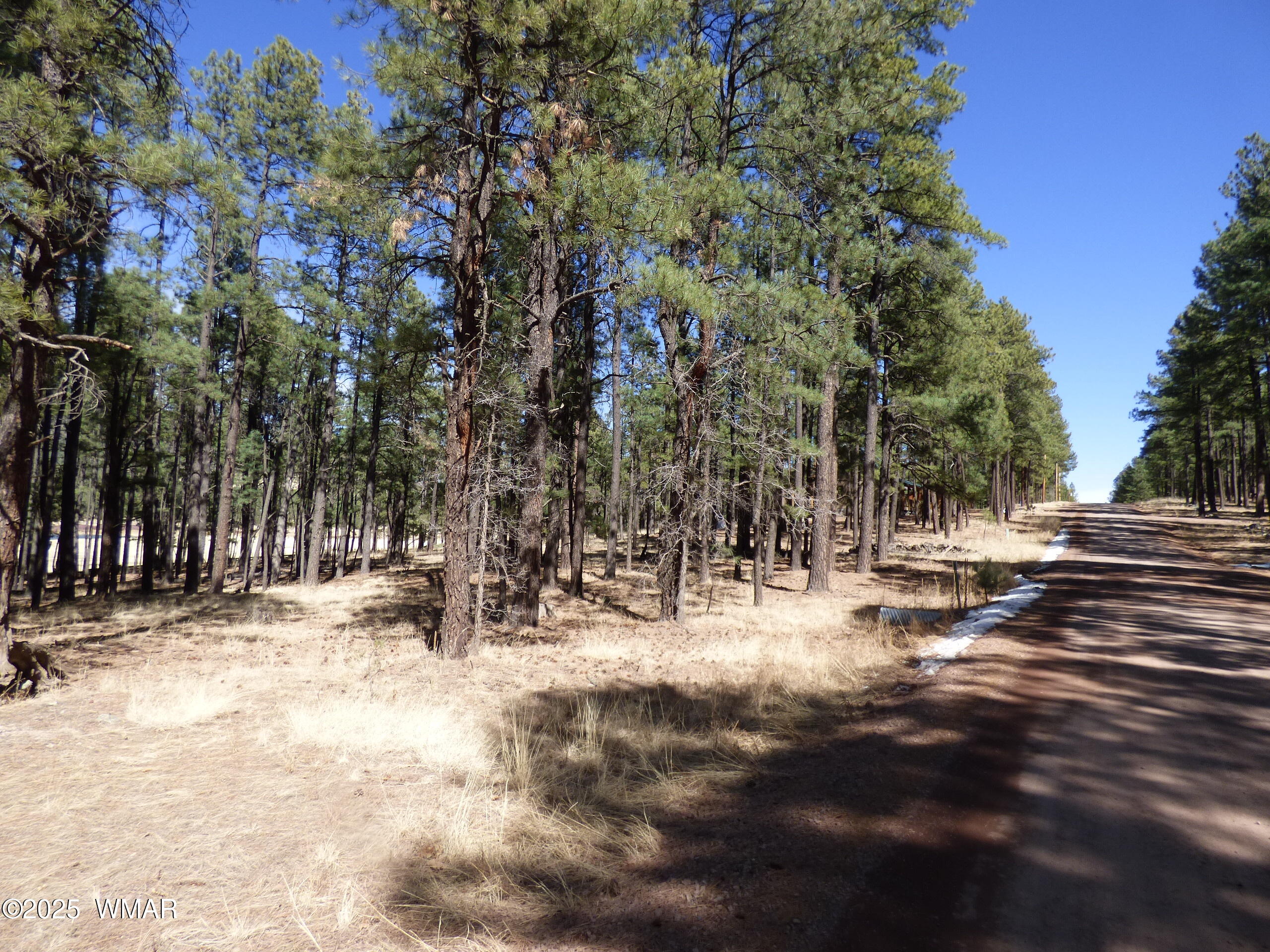 8 B County Road 2267 Road Alpine, AZ 85920 - Photo 3 of 55 P1330485