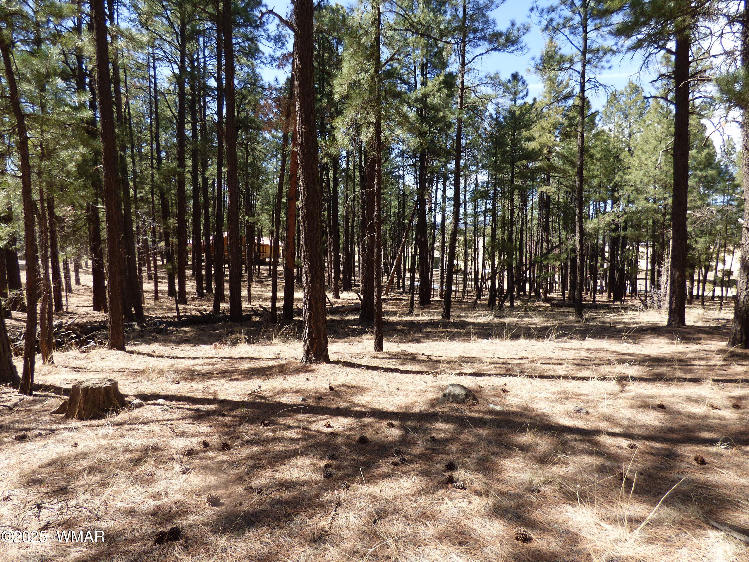 8 B County Road 2267 Road Alpine, AZ 85920 - Photo 31 of 55 P1330510