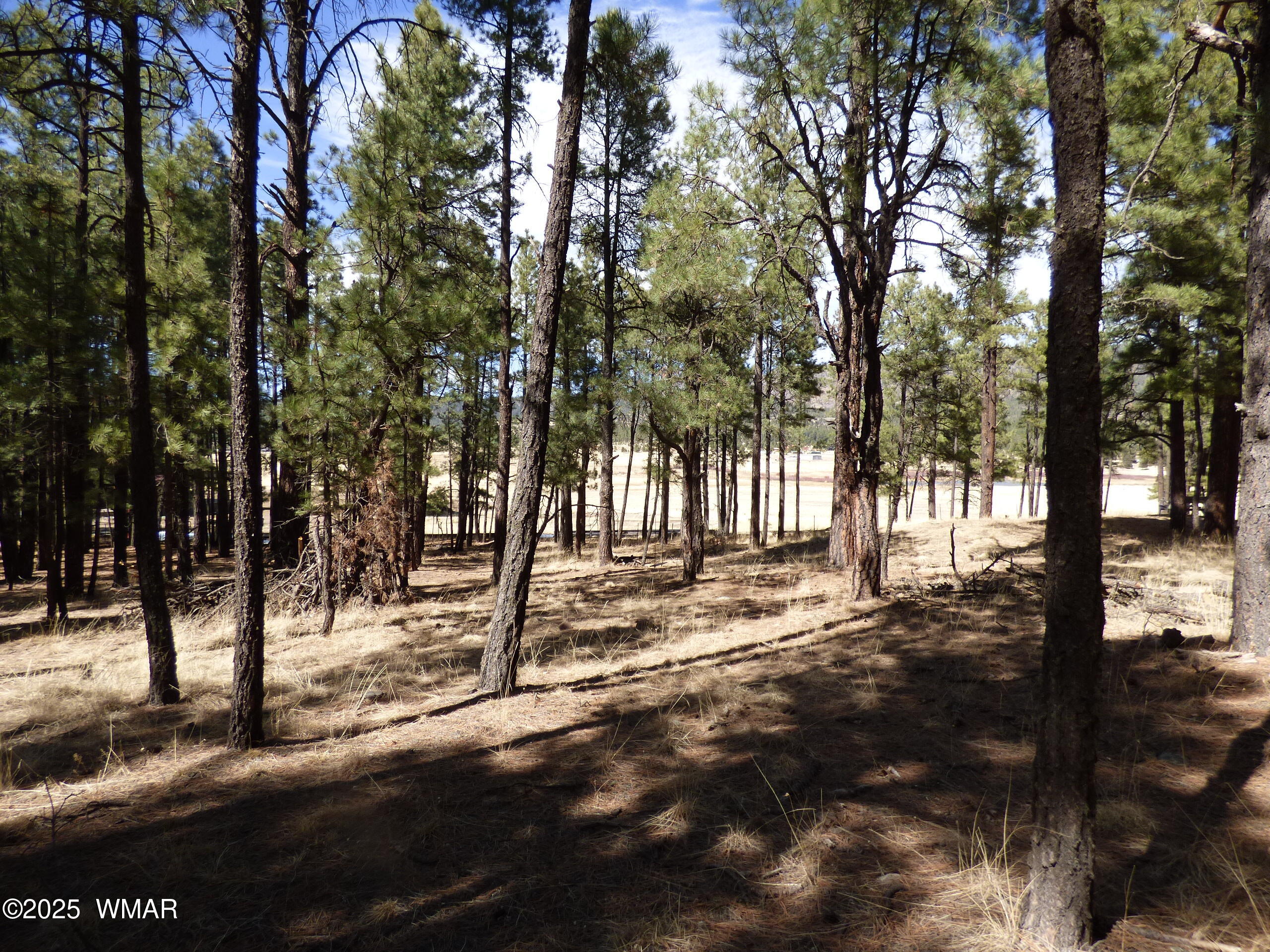 8 B County Road 2267 Road Alpine, AZ 85920 - Photo 32 of 55 P1330511