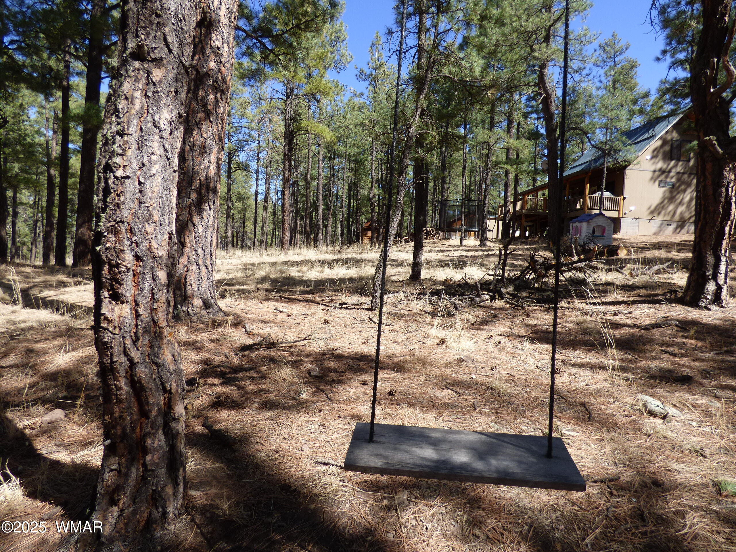 8 B County Road 2267 Road Alpine, AZ 85920 - Photo 33 of 55 P1330513