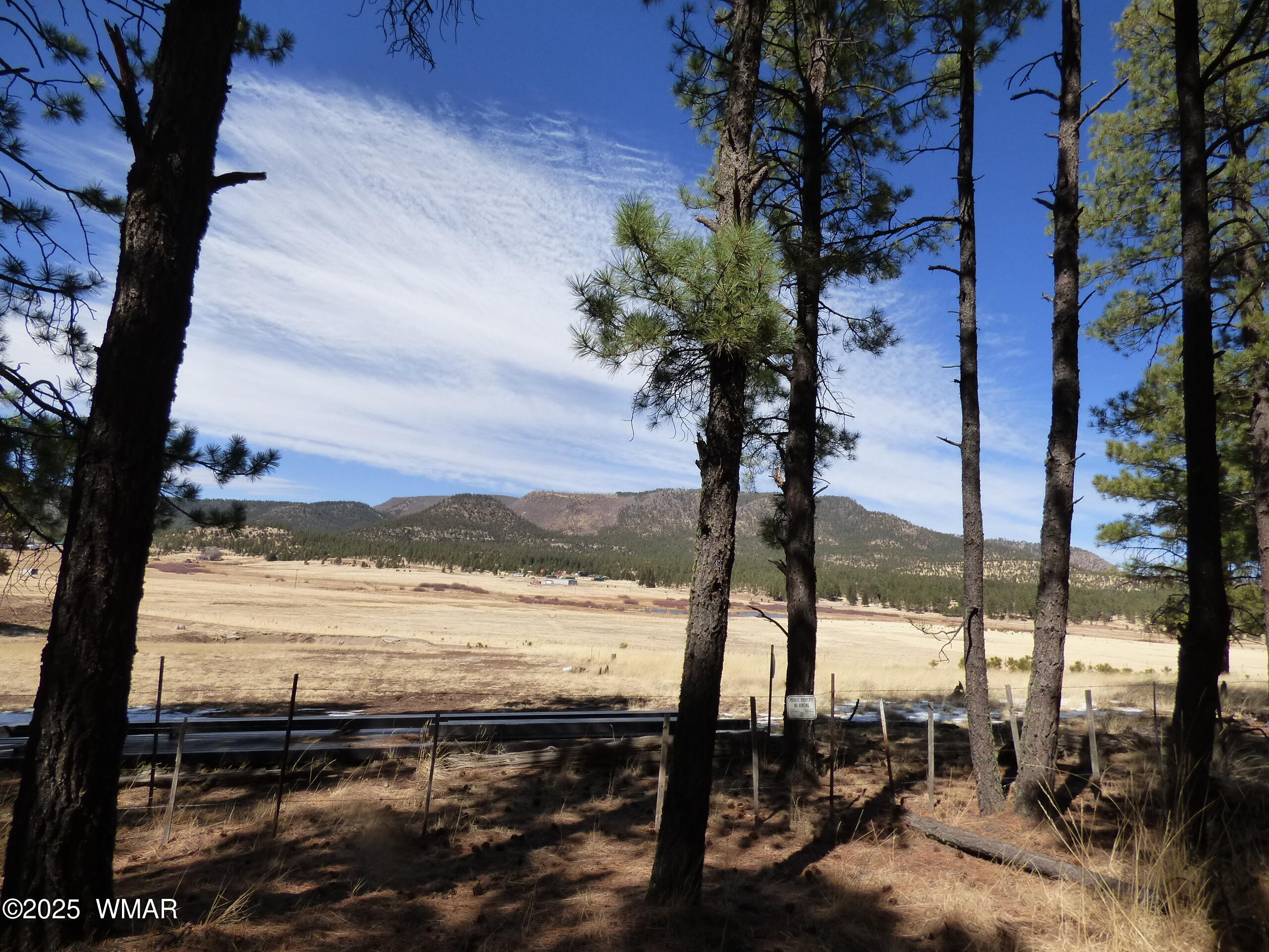 8 B County Road 2267 Road Alpine, AZ 85920 - Photo 34 of 55 P1330518