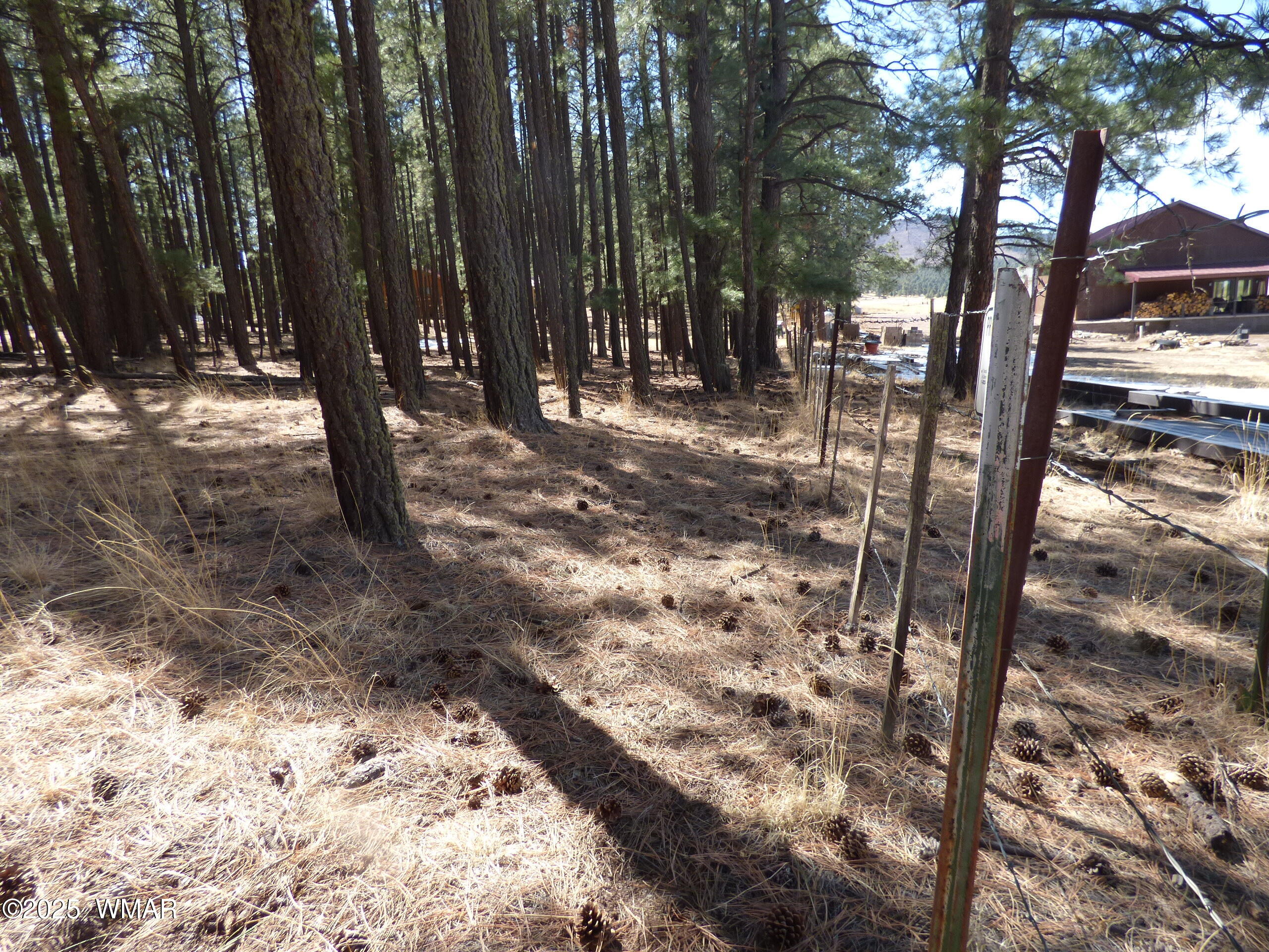 8 B County Road 2267 Road Alpine, AZ 85920 - Photo 36 of 55 P1330520