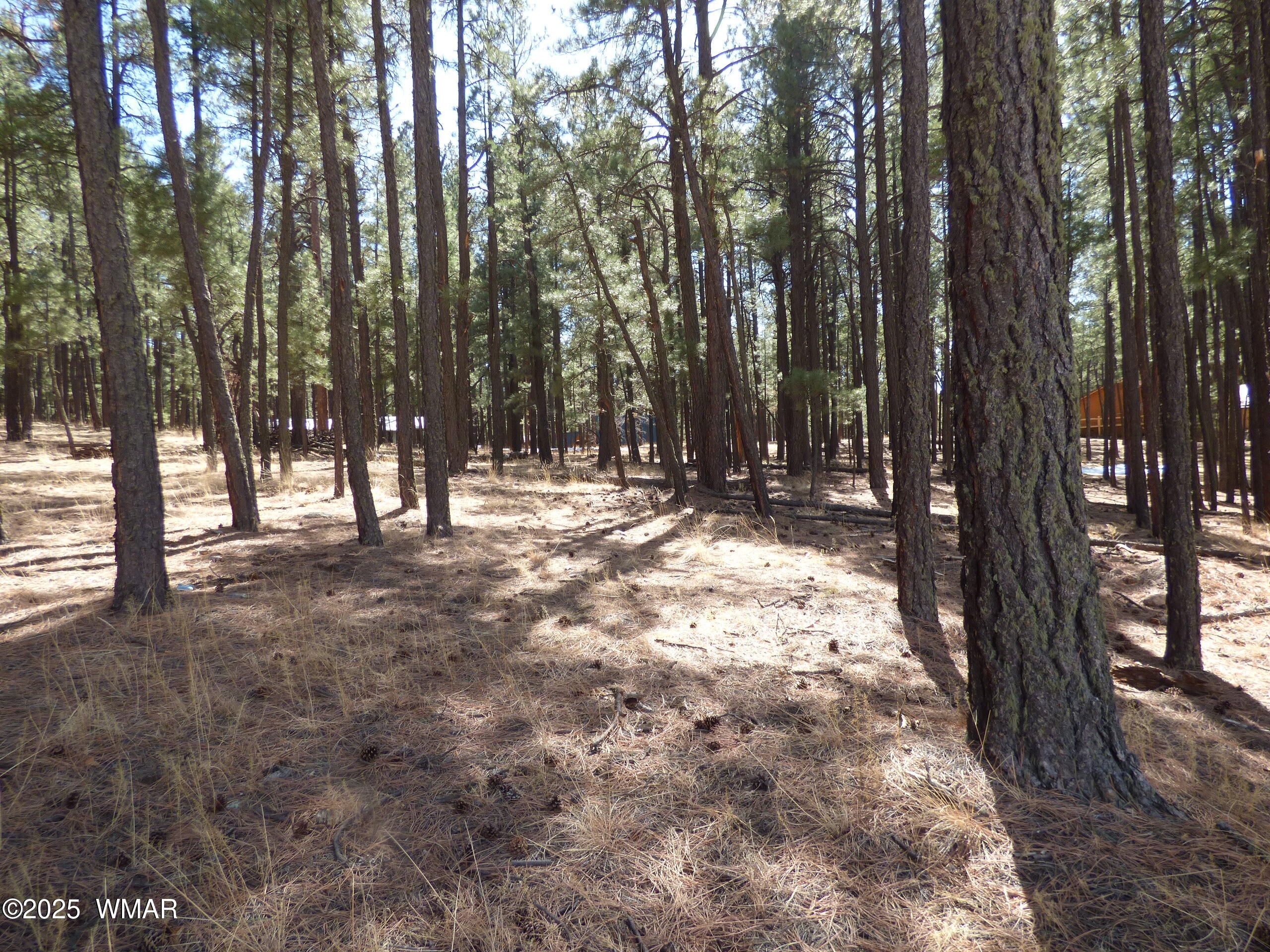 8 B County Road 2267 Road Alpine, AZ 85920 - Photo 38 of 55 P1330522