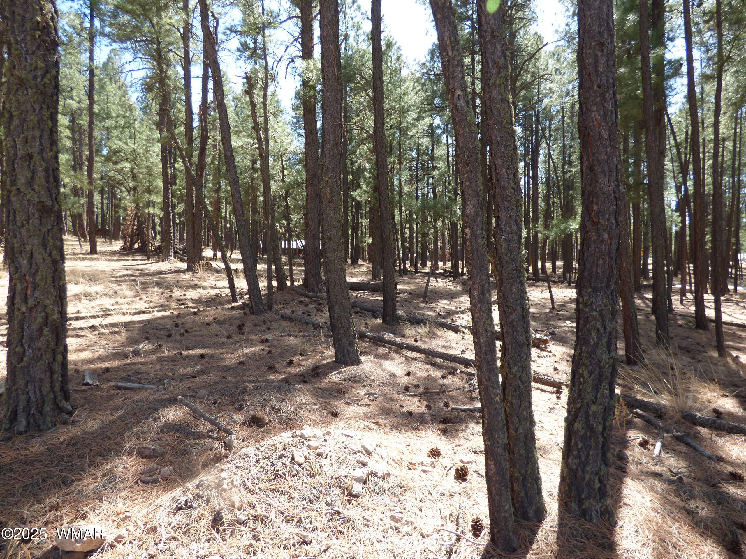 8 B County Road 2267 Road Alpine, AZ 85920 - Photo 39 of 55 P1330523