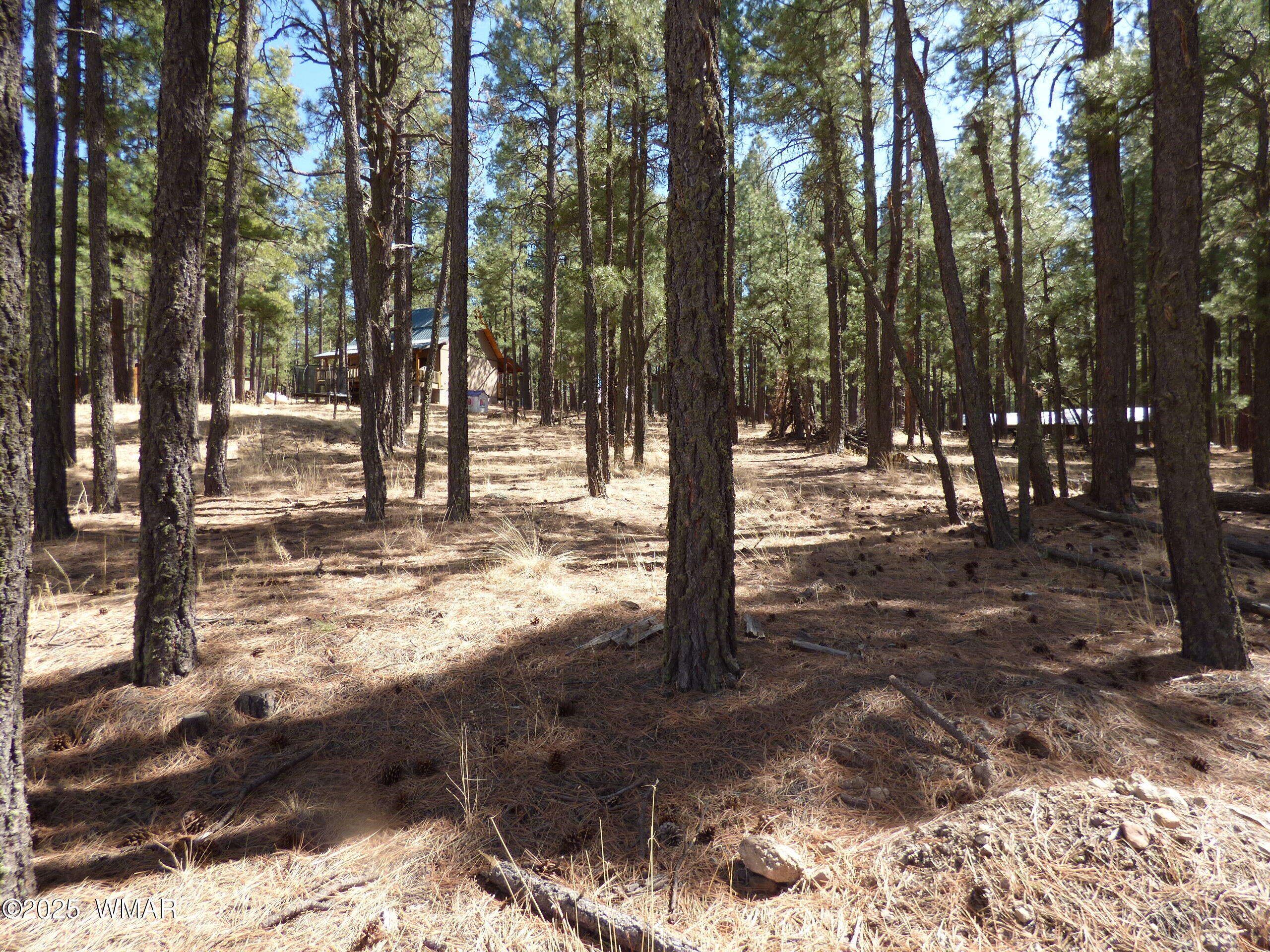 8 B County Road 2267 Road Alpine, AZ 85920 - Photo 40 of 55 P1330524