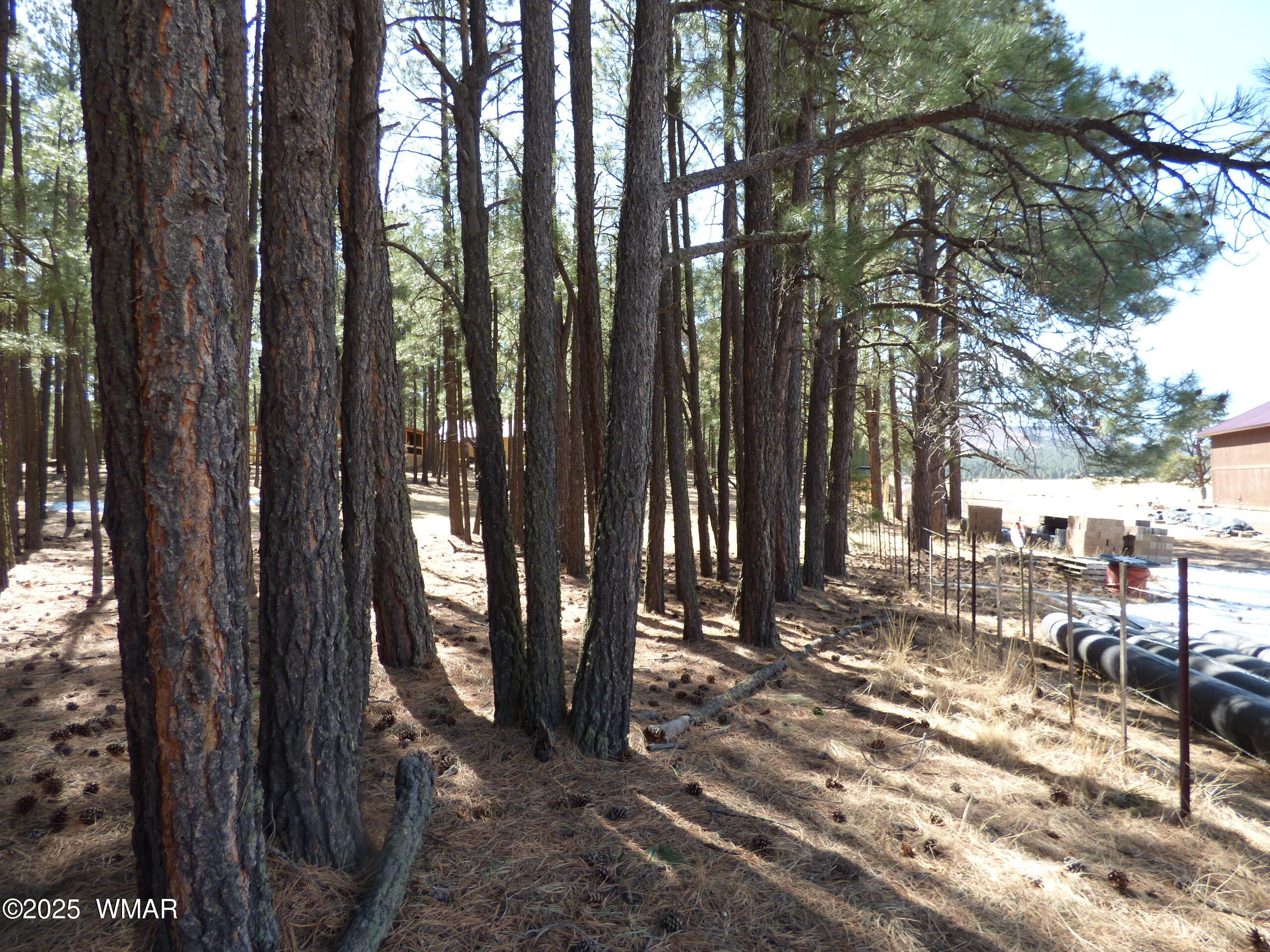 8 B County Road 2267 Road Alpine, AZ 85920 - Photo 41 of 55 P1330525