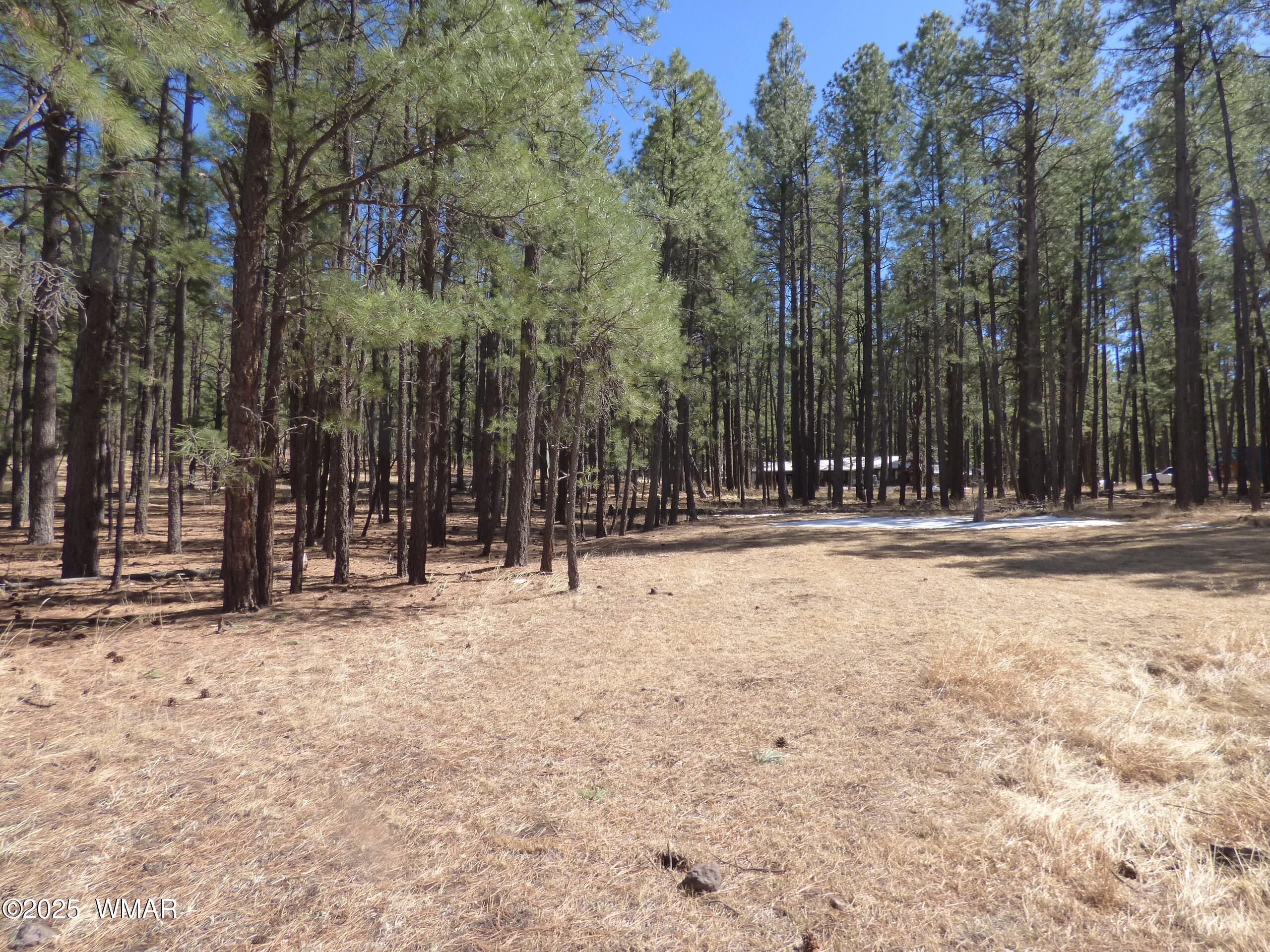 8 B County Road 2267 Road Alpine, AZ 85920 - Photo 45 of 55 P1330529