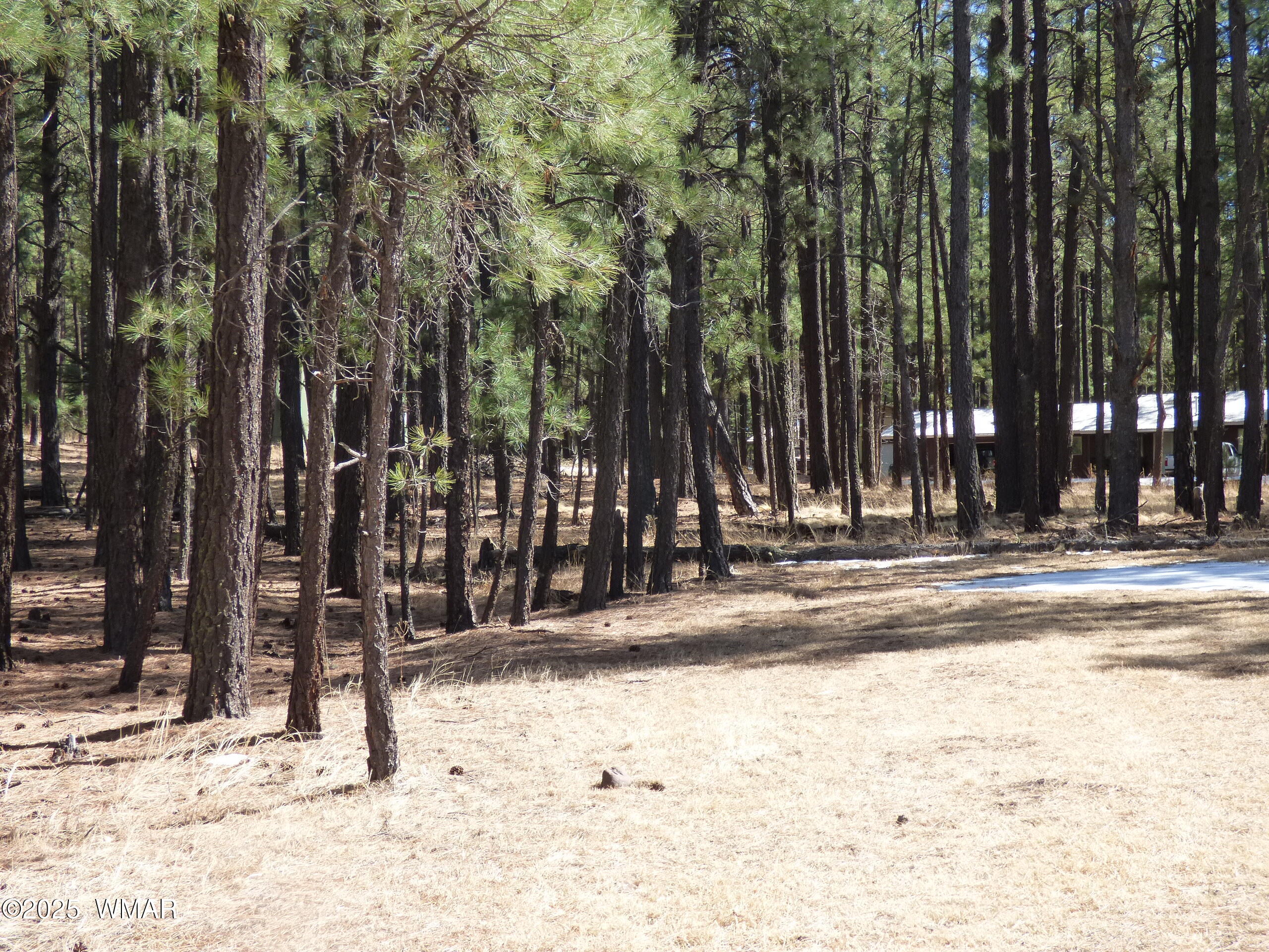 8 B County Road 2267 Road Alpine, AZ 85920 - Photo 46 of 55 P1330530