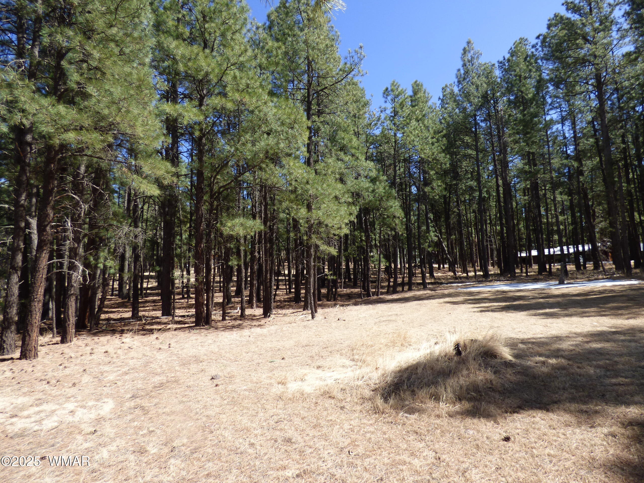 8 B County Road 2267 Road Alpine, AZ 85920 - Photo 50 of 55 P1330535