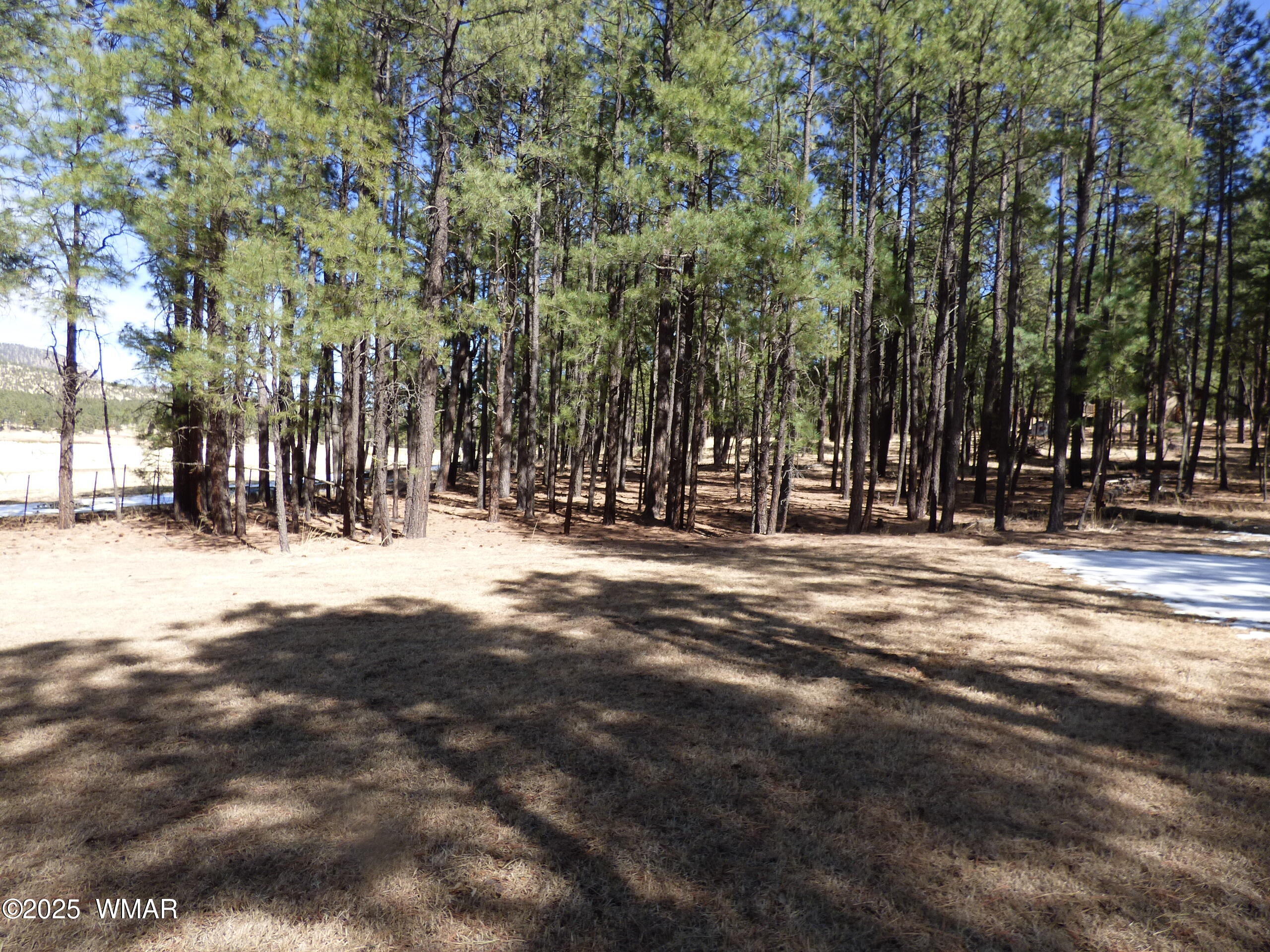 8 B County Road 2267 Road Alpine, AZ 85920 - Photo 51 of 55 P1330536