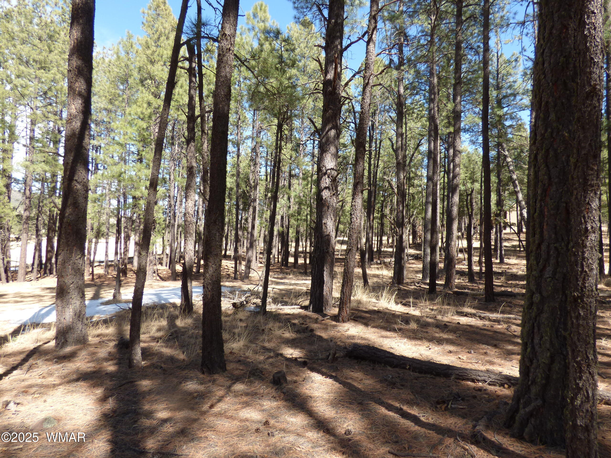 8 B County Road 2267 Road Alpine, AZ 85920 - Photo 52 of 55 P1330537