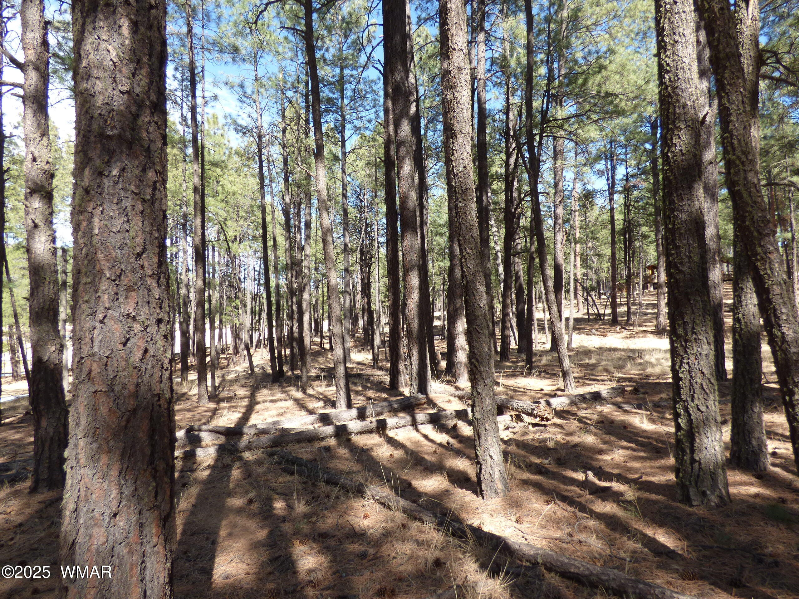 8 B County Road 2267 Road Alpine, AZ 85920 - Photo 53 of 55 P1330538