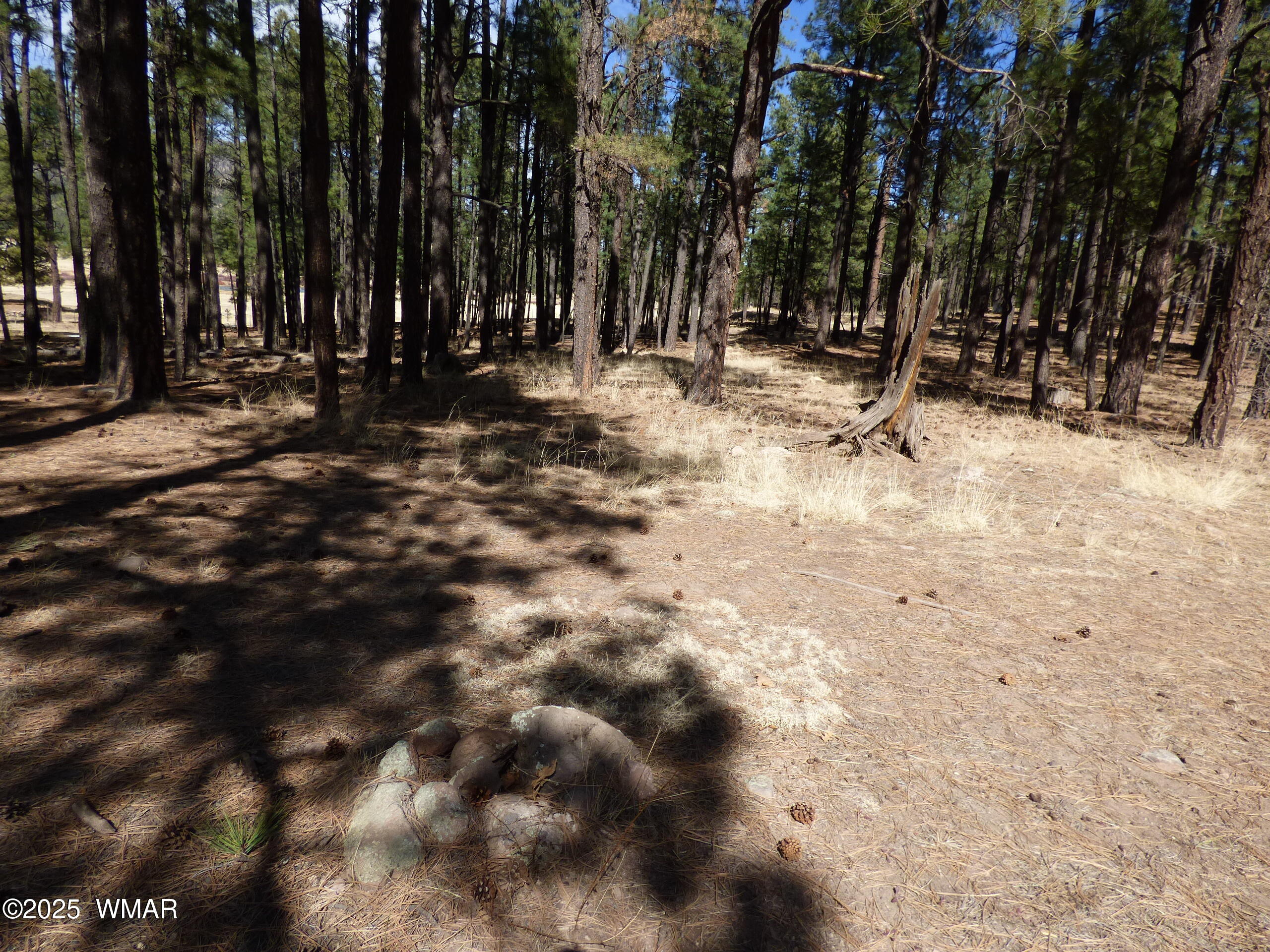 8 B County Road 2267 Road Alpine, AZ 85920 - Photo 54 of 55 P1330539