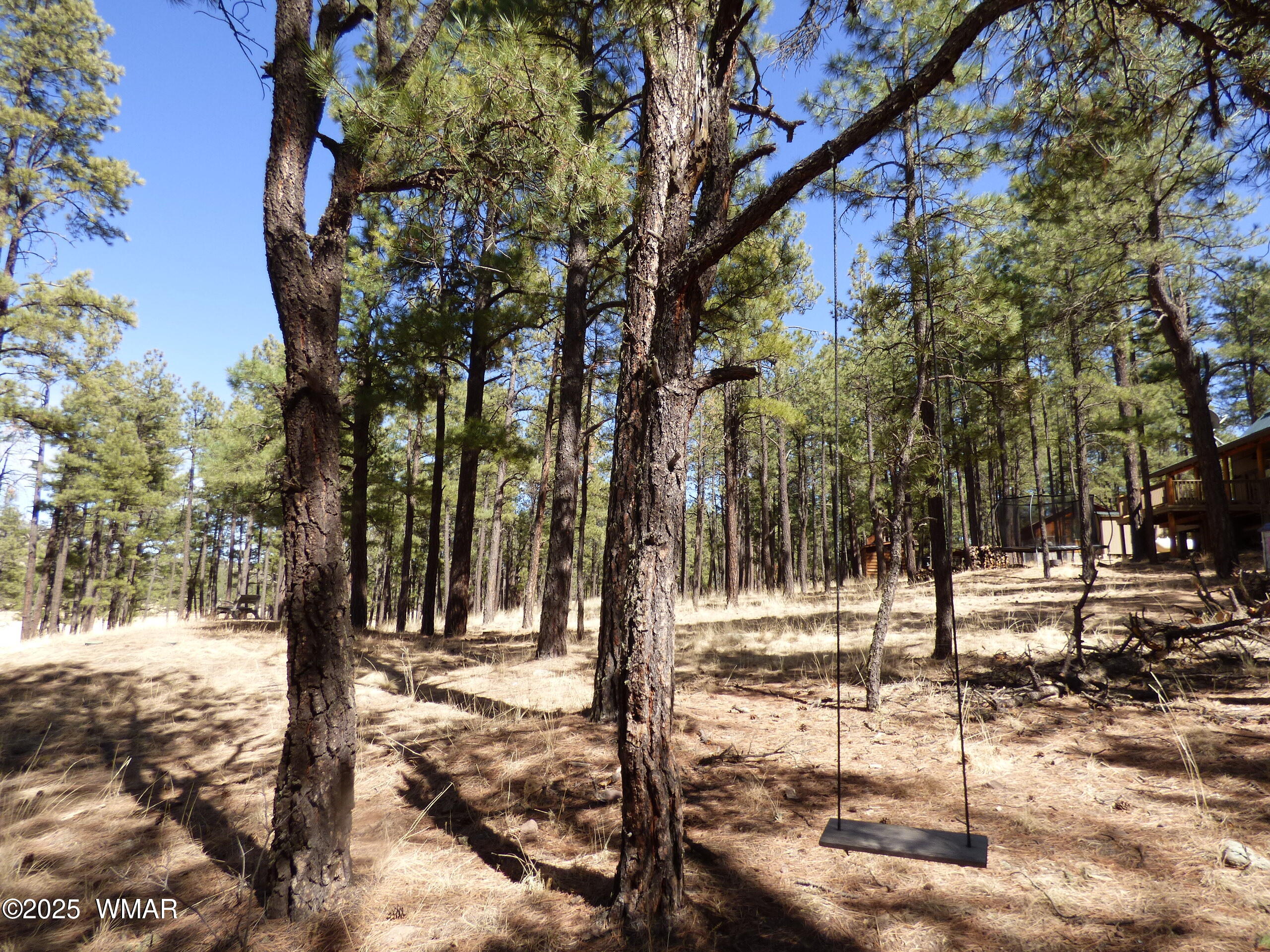 8 B County Road 2267 Road Alpine, AZ 85920 - Photo 7 of 55 P1330516