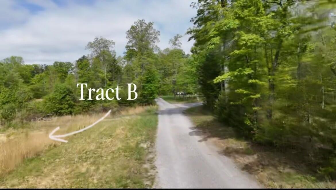 8957 Big Bend Road Signal Mountain, TN 37377 - Photo 3 of 30 Gallery Image 3