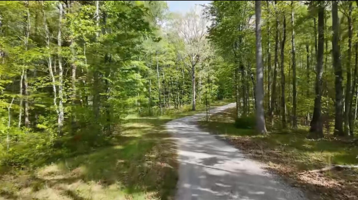 8957 Big Bend Road Signal Mountain, TN 37377 - Photo 8 of 30 Gallery Image 8