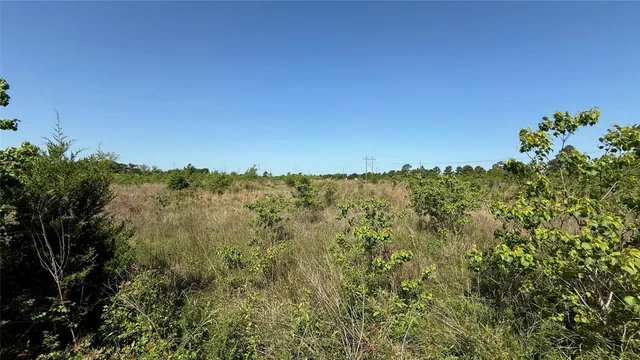 $1,960,000 | 0 Lazy Kay Lane, Hockley, TX 77447