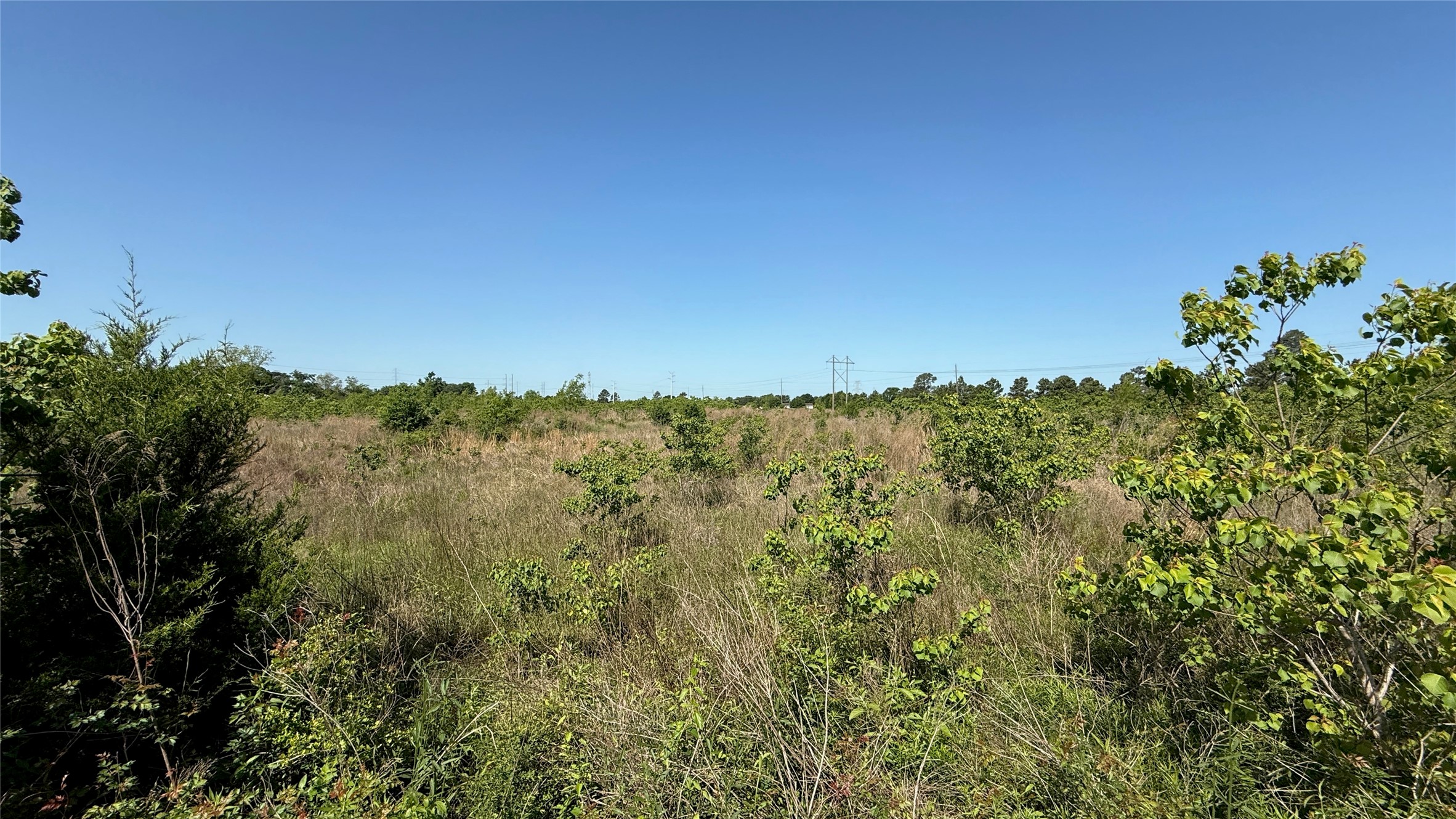 0 Lazy Kay Lane Hockley, TX 77447 - Photo 2 of 23 a view of a yard with a tree