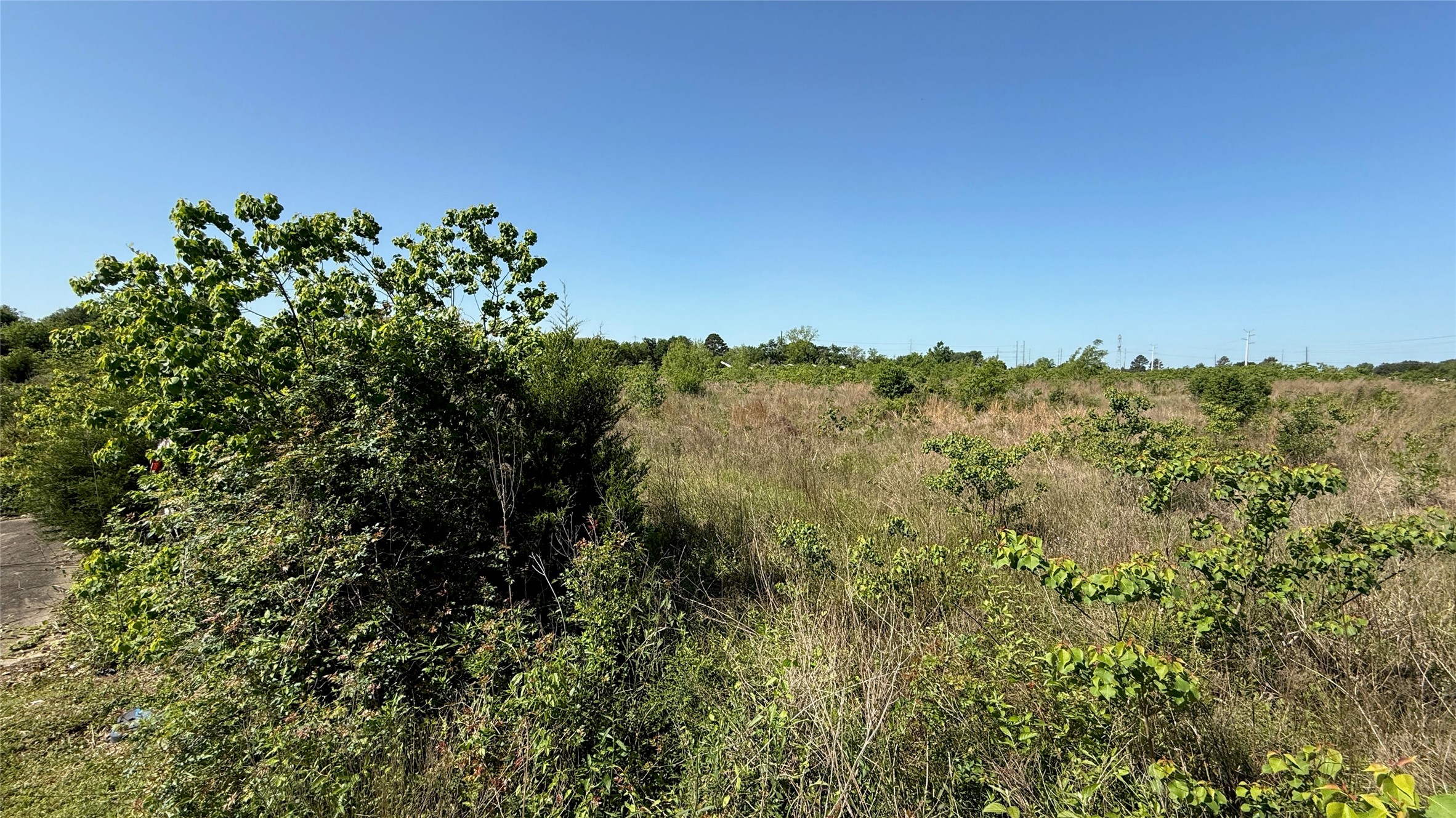 0 Lazy Kay Lane Hockley, TX 77447 - Photo 3 of 23 a view of a forest with a tree