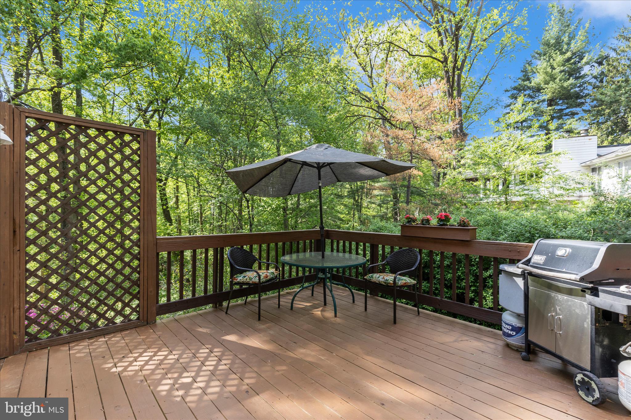 7946 Helmart Drive Laurel, MD 20723 - Photo 24 of 50 Refinished side deck