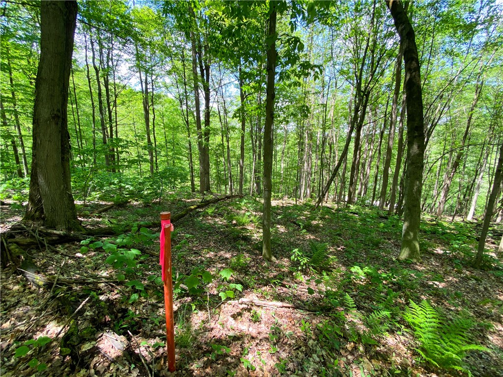 4880 Deusenberry Road Cohocton, NY 14826 - Photo 17 of 25