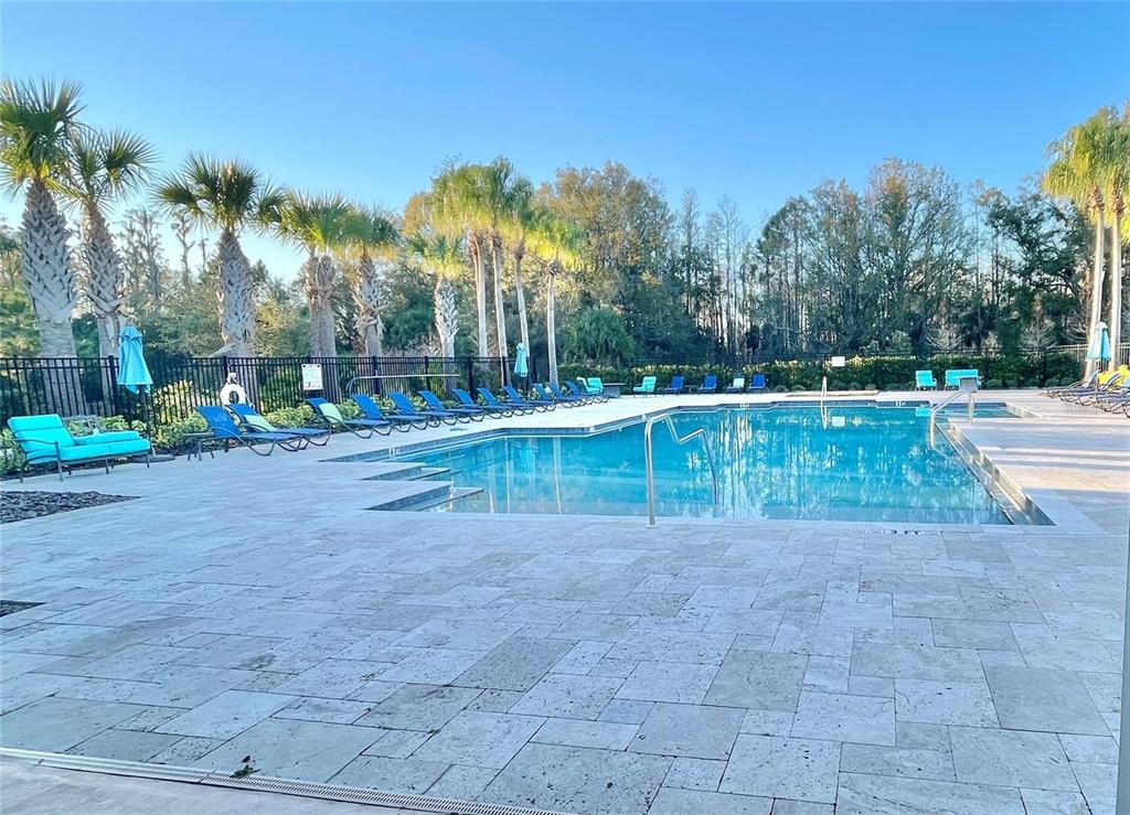 28536 Tranquil Lake Circle Wesley Chapel, FL 33543 - Photo 11 of 11