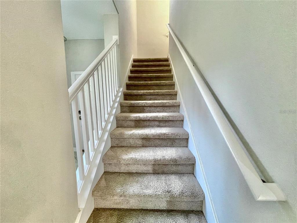 28536 Tranquil Lake Circle Wesley Chapel, FL 33543 - Photo 4 of 11