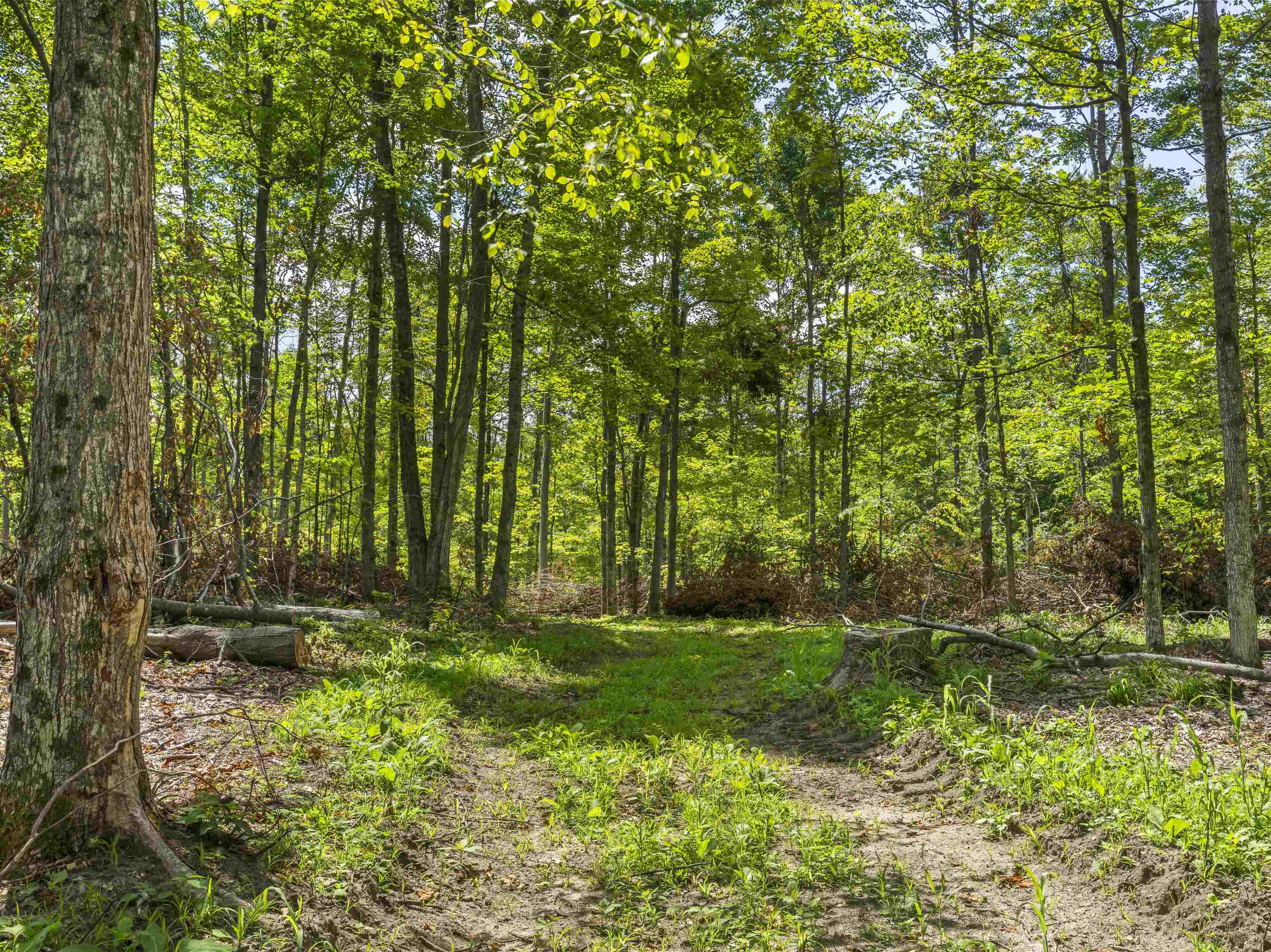 0 Valencourt Road Copemish, MI 49625 - Photo 9 of 12 1948864-514a21ac-cc87-4c86-92b6-84002b6d4c2d.JPG