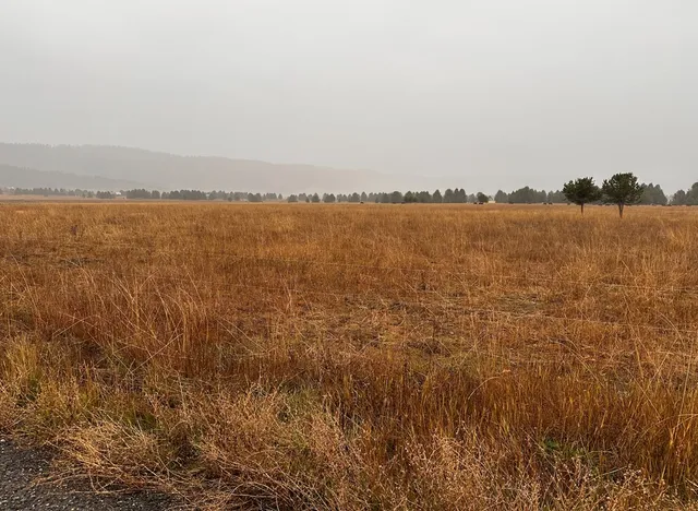 $325,000 | 55 Cascade Id 83611, Cascade, ID 83611