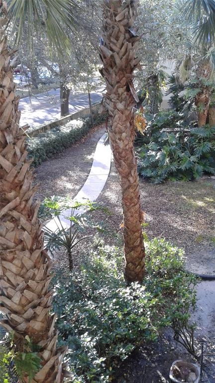 829 Camargo Way, Unit 203 Altamonte Springs, FL 32714 - Photo 9 of 26 a backyard of a house