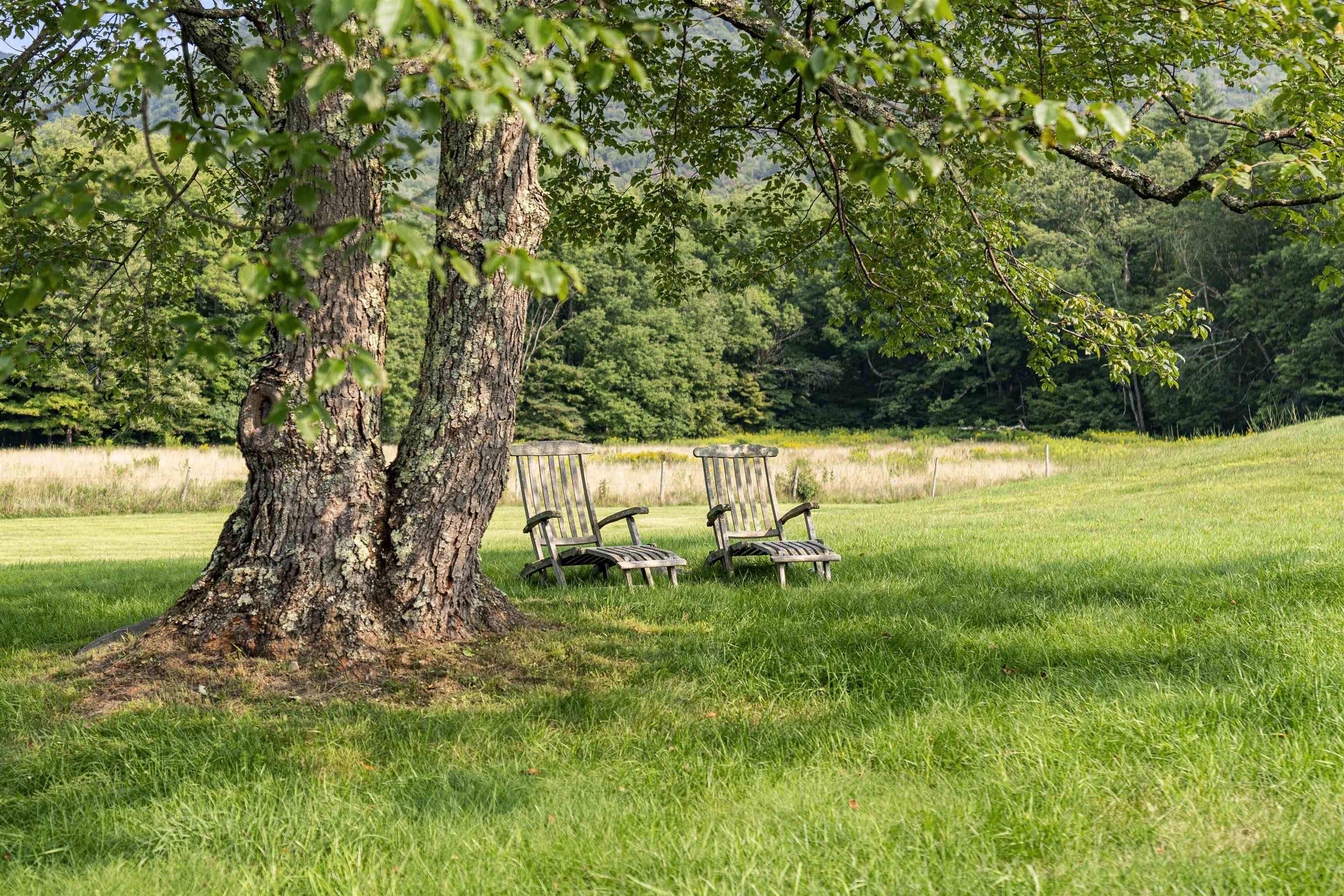 527 Benson Road Manchester, VT 05255 - Photo 36 of 38