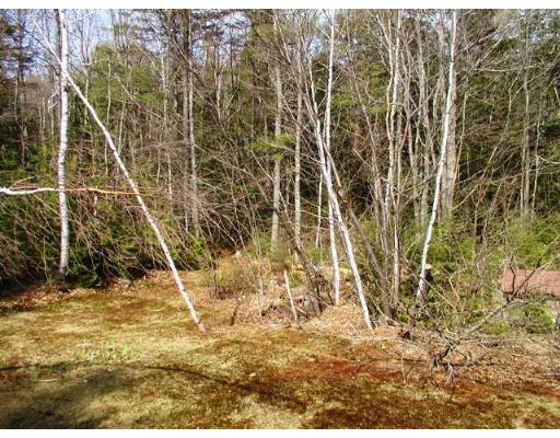 104 Ferin Road Ashburnham, MA 01430 - Photo 6 of 16 a view of a backyard