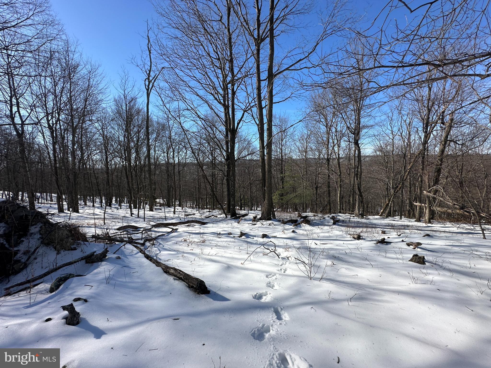 116 River Ridge Yellow Spring, WV 26865 - Photo 17 of 41 a view of a yard with a snow on the road