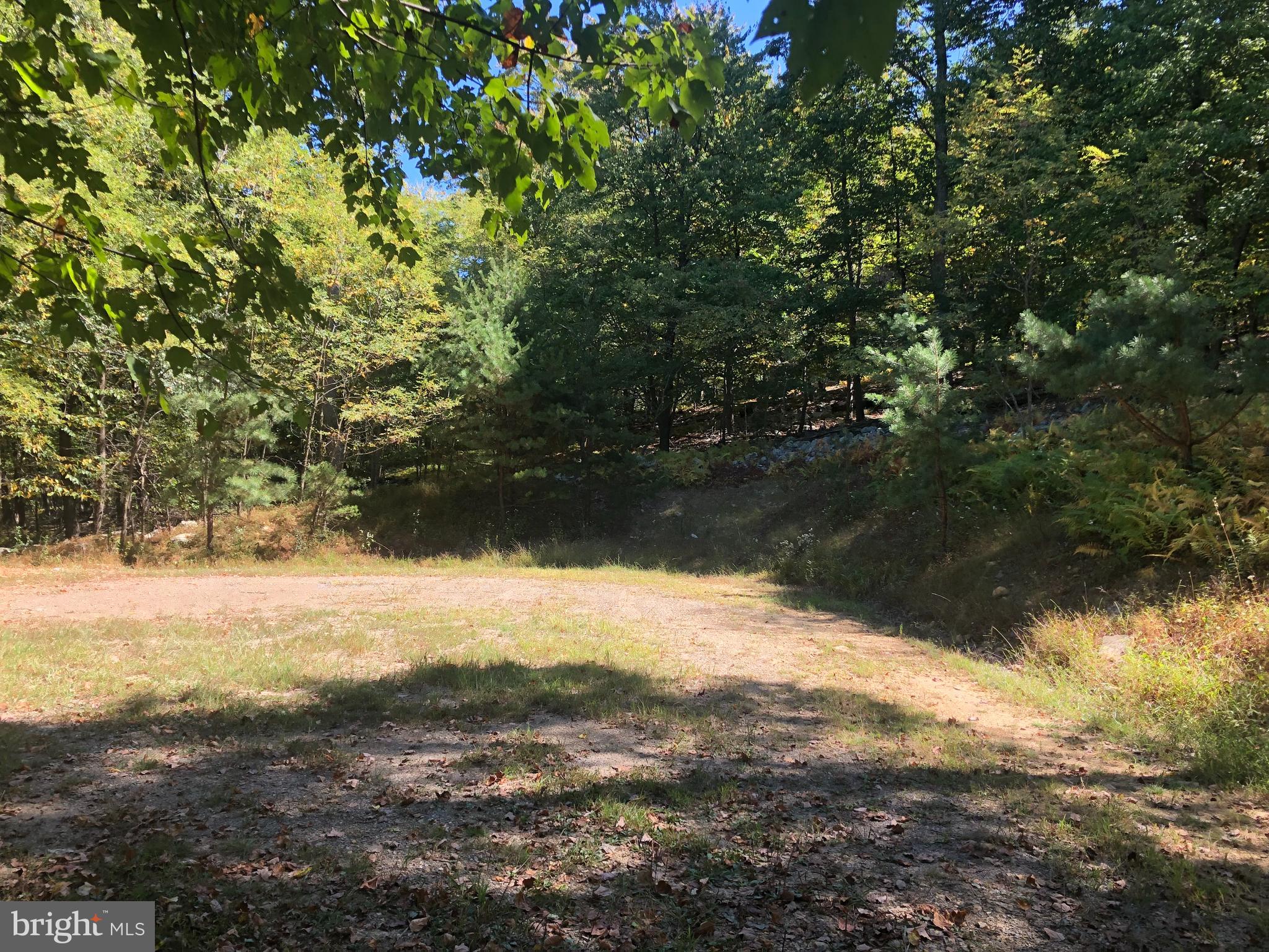 116 River Ridge Yellow Spring, WV 26865 - Photo 22 of 41 a view of ocean view with large trees