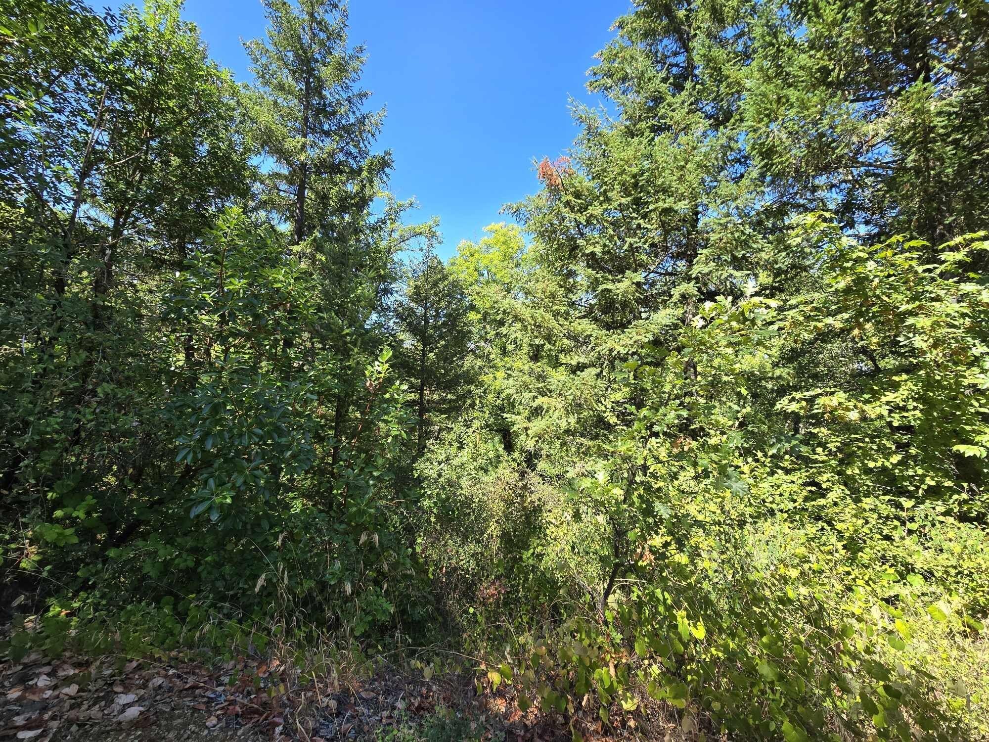 4180 Takilma Road Cave Junction, OR 97523 - Photo 31 of 46 4180 5