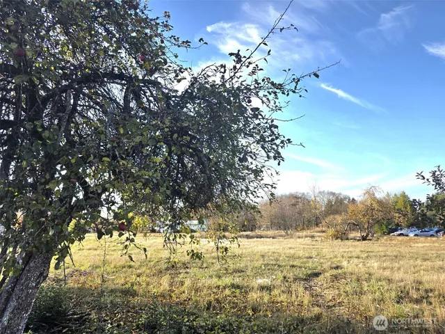 $695,000 | 606 Yelm Avenue West, Yelm, WA 98597