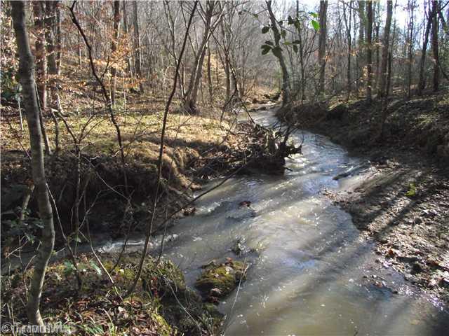1581 Old Fulp Road Danbury, NC 27016 - Photo 15 of 16 Land.