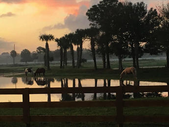 2780 South Brocksmith Road Fort Pierce, FL 34945 - Photo 42 of 69 Untitled