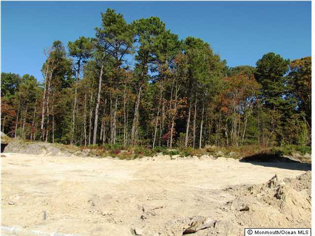 85 Bridle Path Bayville, NJ 08721 - Photo 18 of 19 Additional Photo