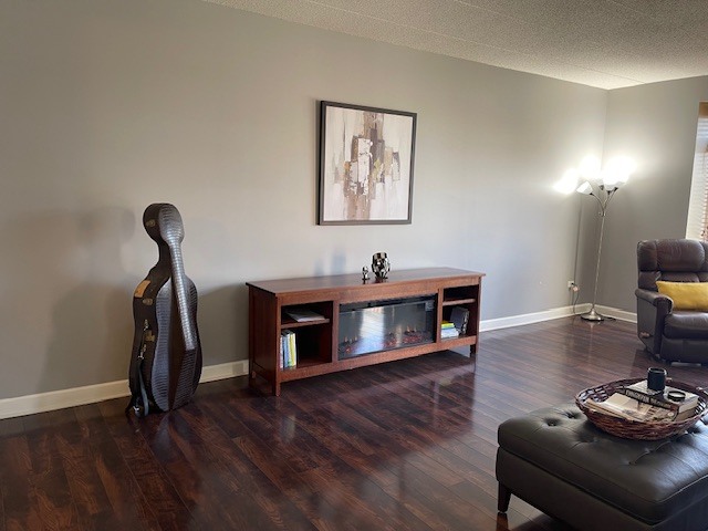 875 East 22nd Street, Unit 204 Lombard, IL 60148 - Photo 16 of 47 a living room with furniture and wooden floor