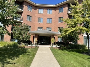 875 East 22nd Street, Unit 204 Lombard, IL 60148 - Photo 2 of 46