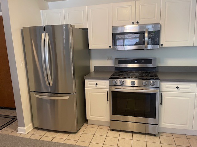 875 East 22nd Street, Unit 204 Lombard, IL 60148 - Photo 24 of 47 a kitchen with cabinets and stainless steel appliances